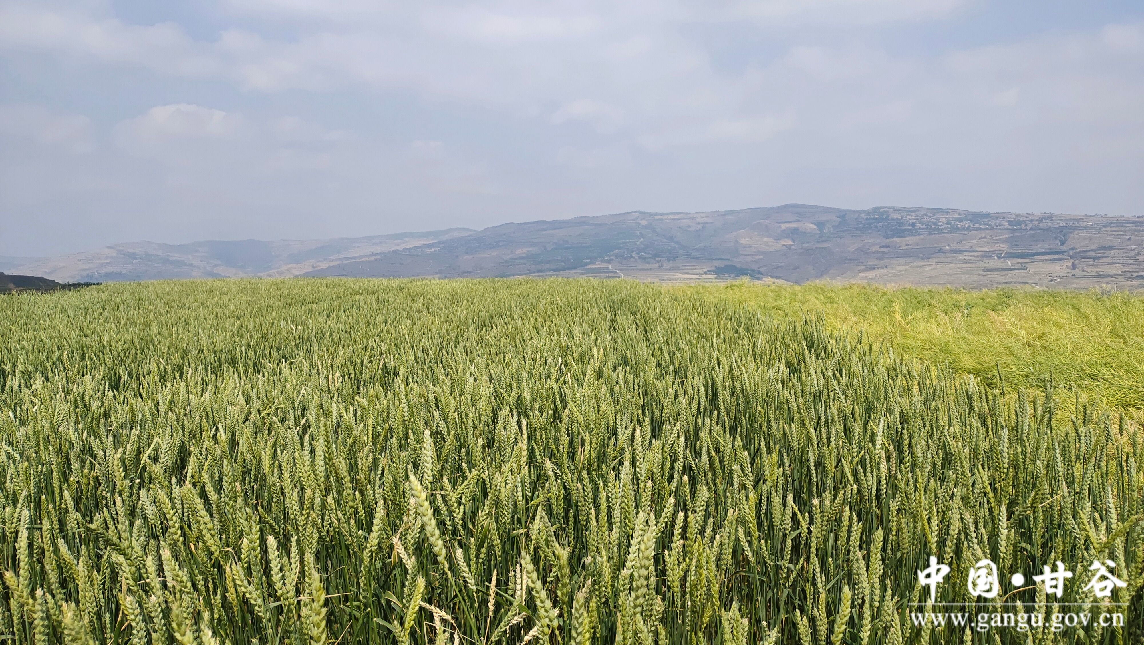 1716776777829046571.jpg 1716776777829046571.jpg