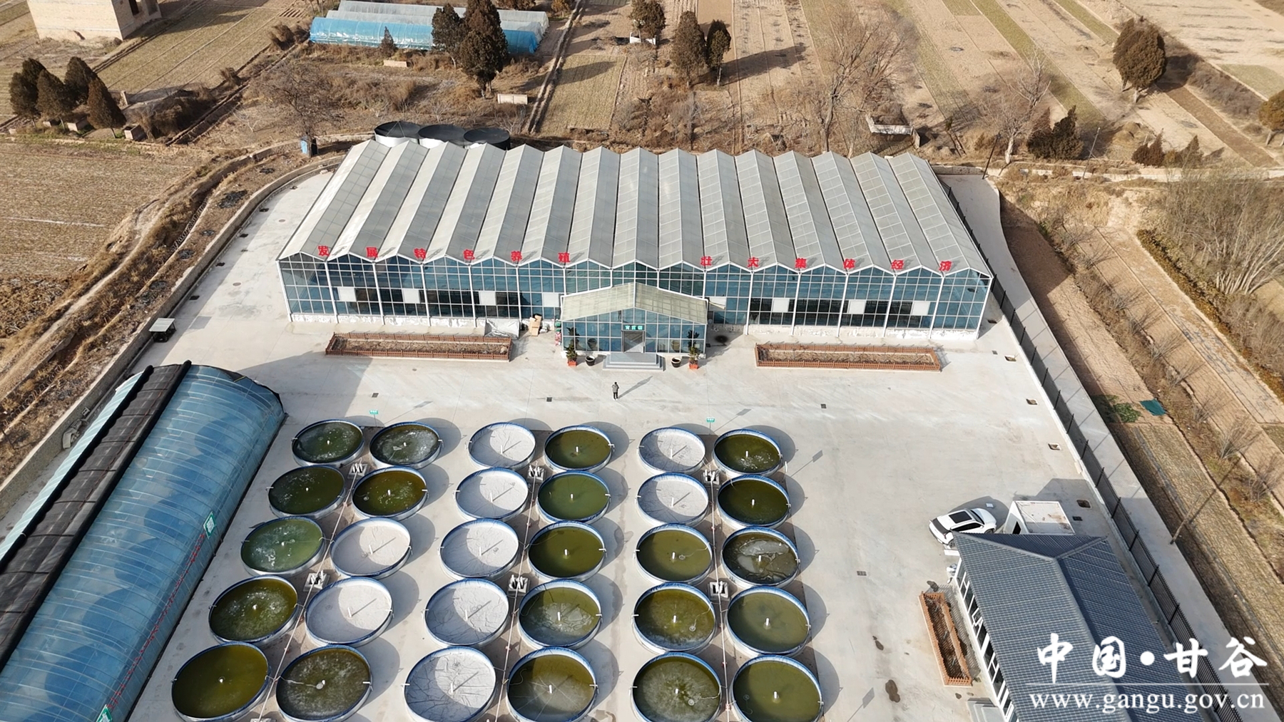 微信图片_20260115082755_138_209 微信图片_20260115082755_138_209