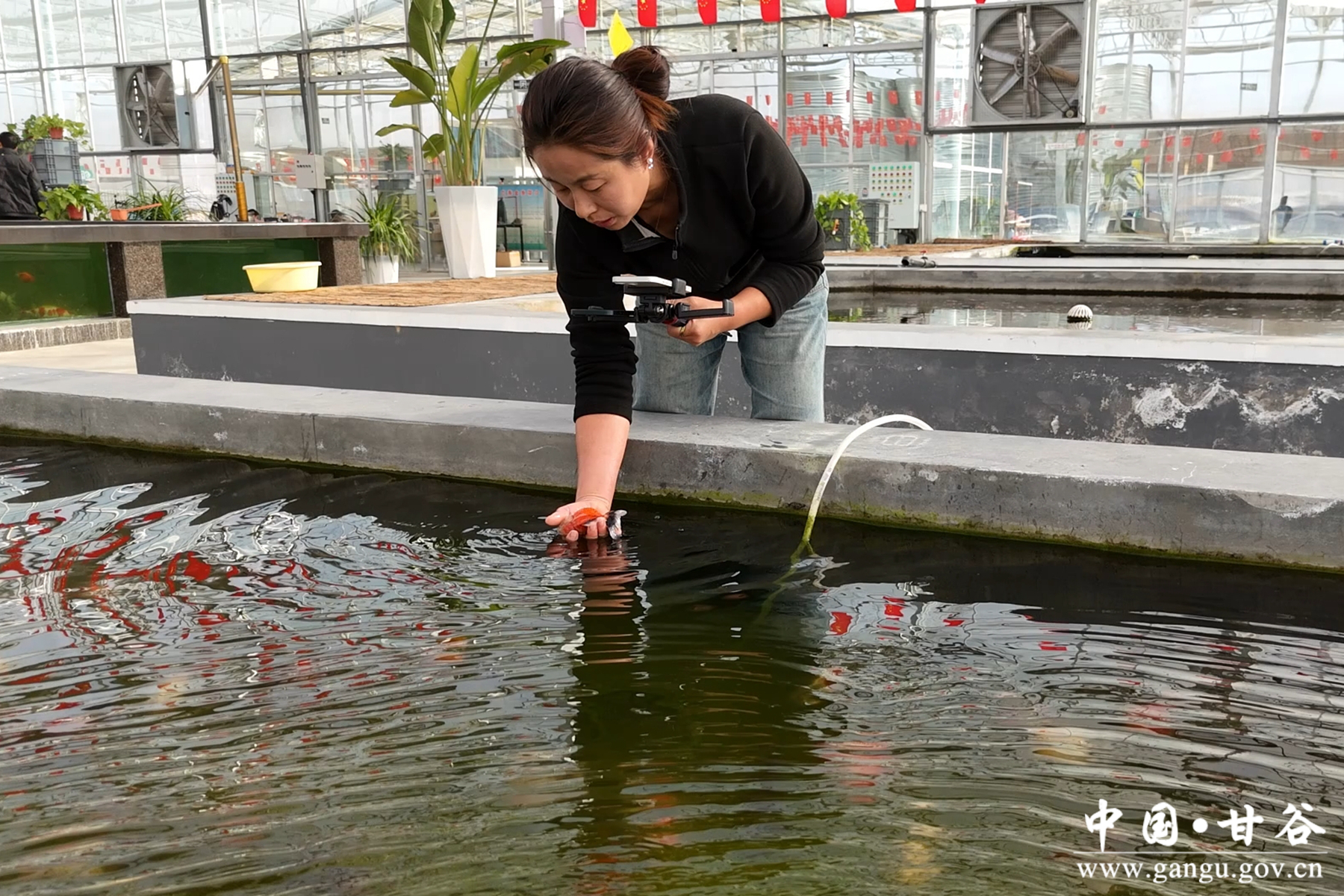 微信图片_20260115082835_141_209 微信图片_20260115082835_141_209