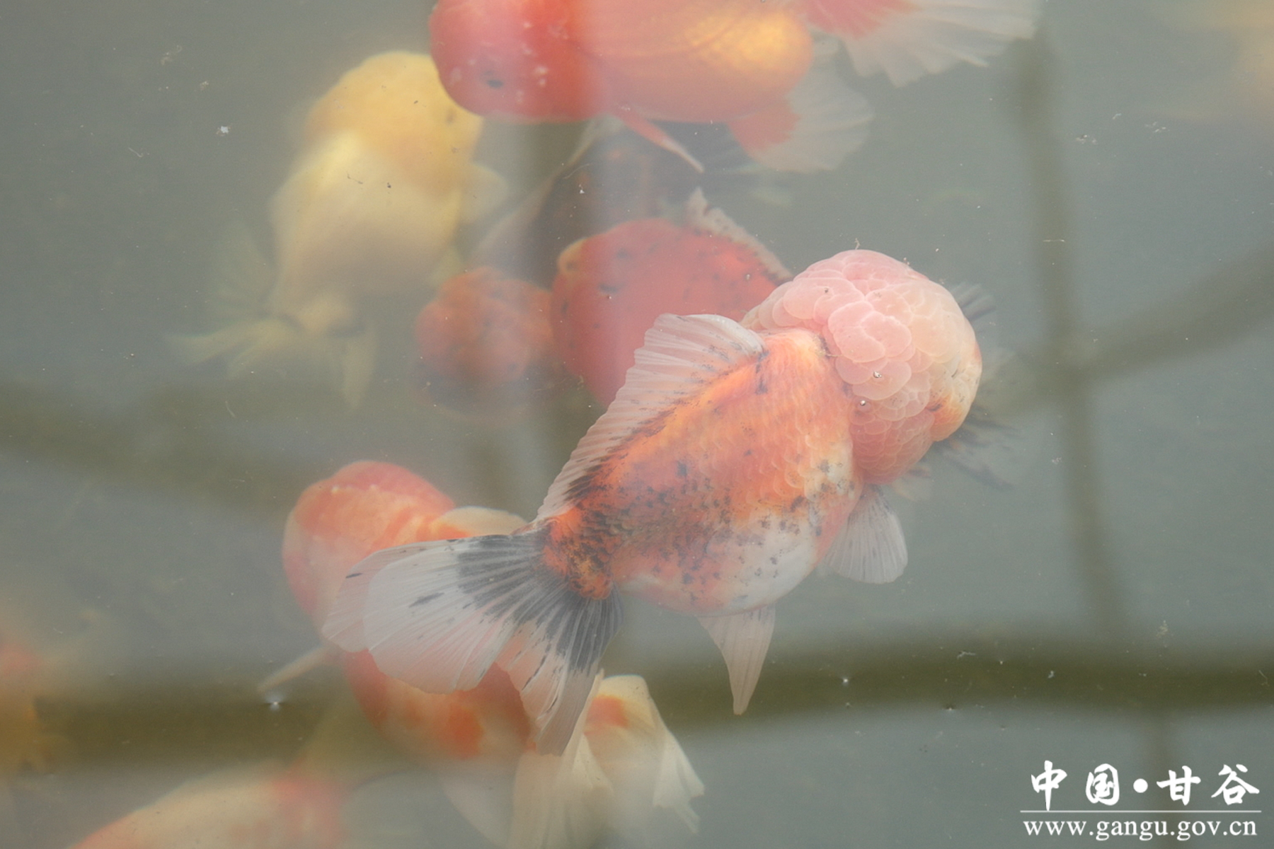 微信图片_20260115082858_142_209 微信图片_20260115082858_142_209