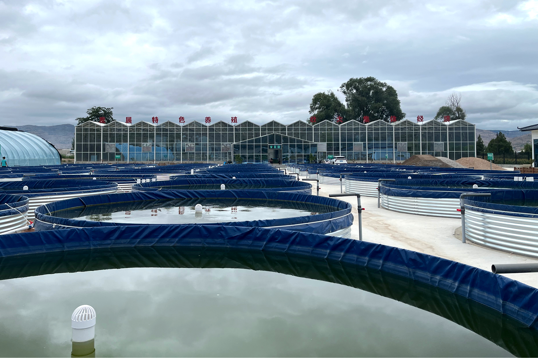 1753428534405000890 1753428534405000890