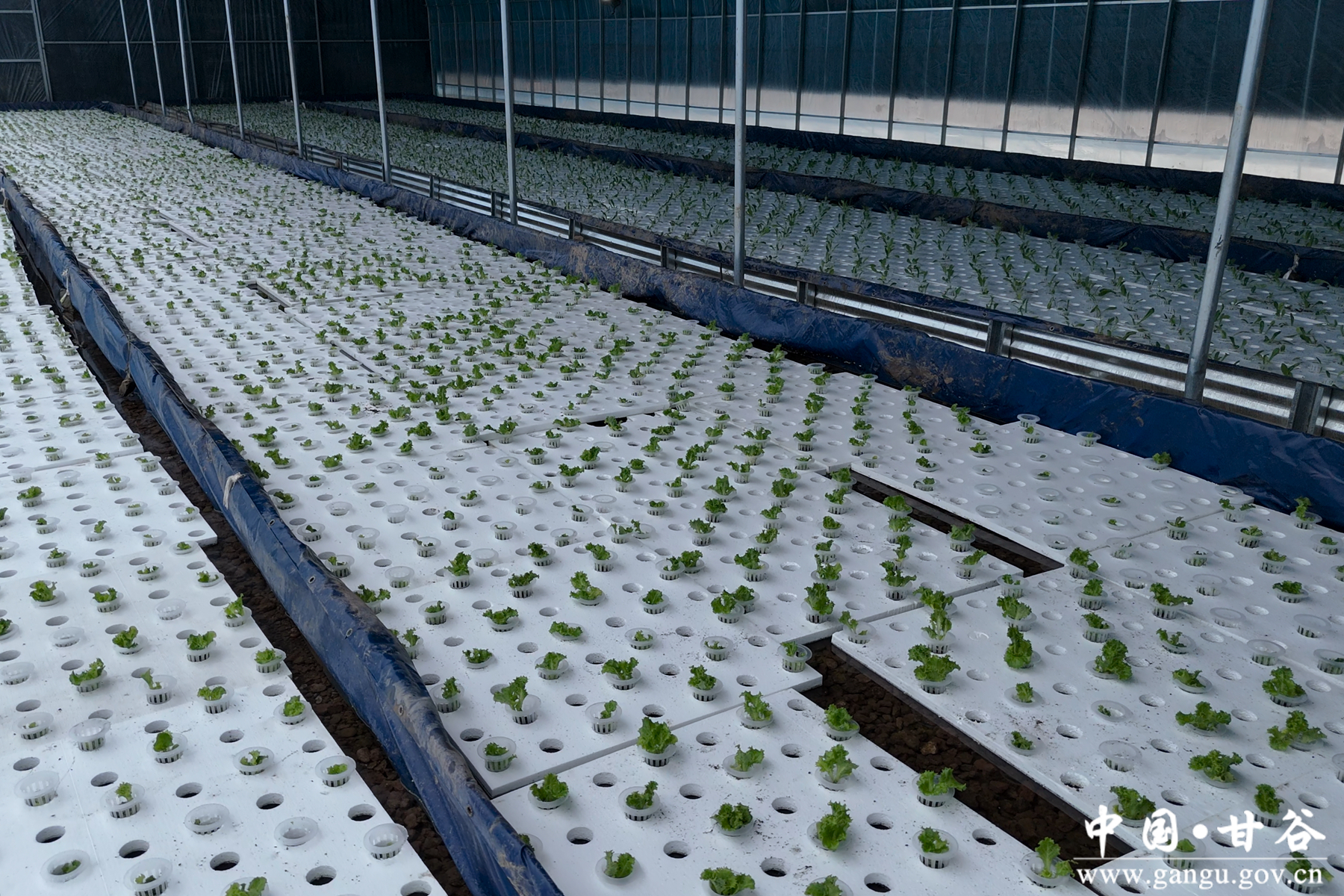 微信图片_20251029170744_38_148 微信图片_20251029170744_38_148