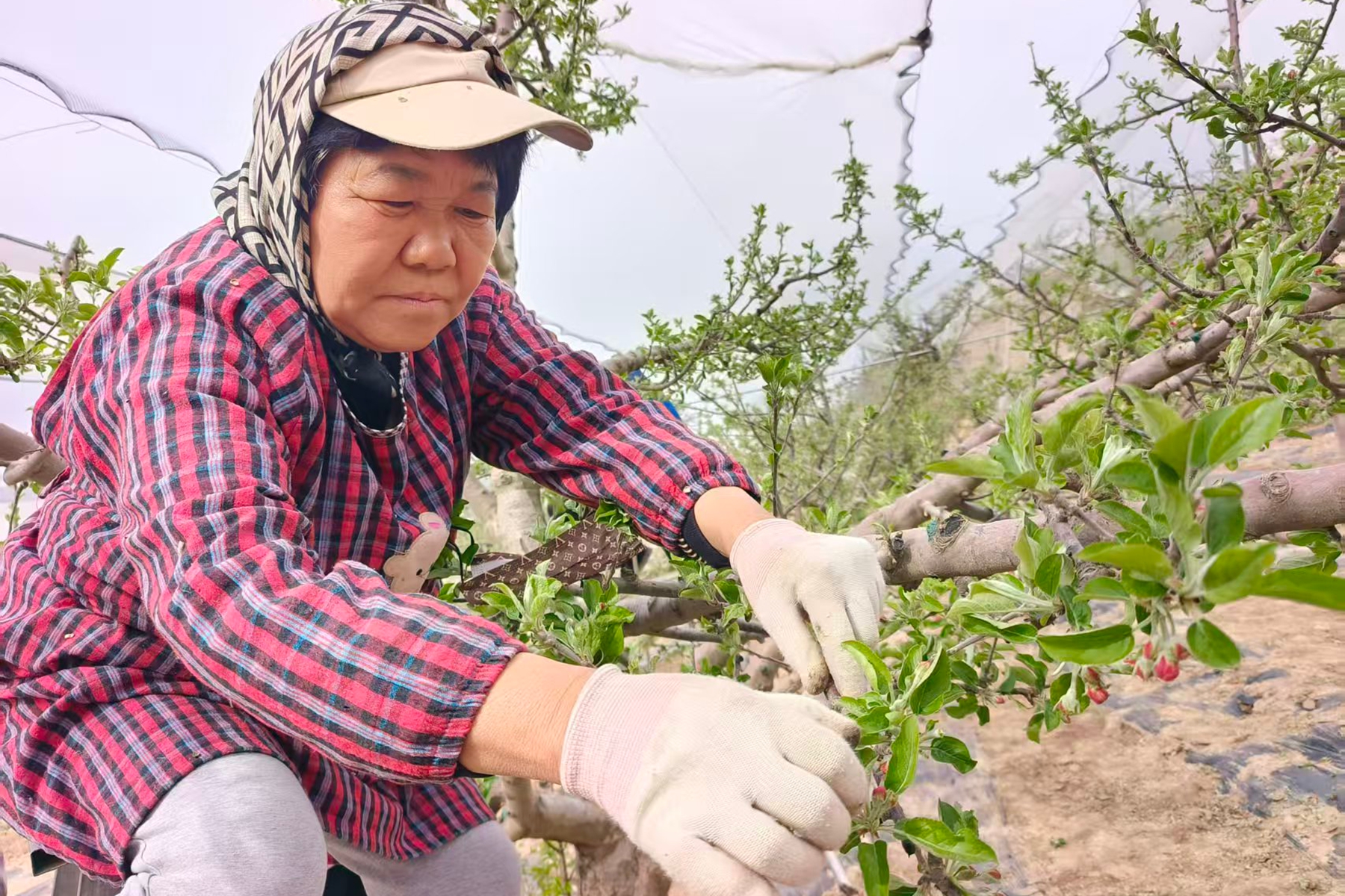 a8731f4eb3ca47eba84f463ce49ad3ff a8731f4eb3ca47eba84f463ce49ad3ff