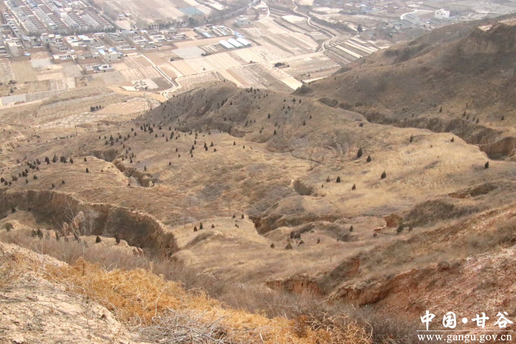 92d569d2889943e784efe6a56ea4461_副本 92d569d2889943e784efe6a56ea4461_副本