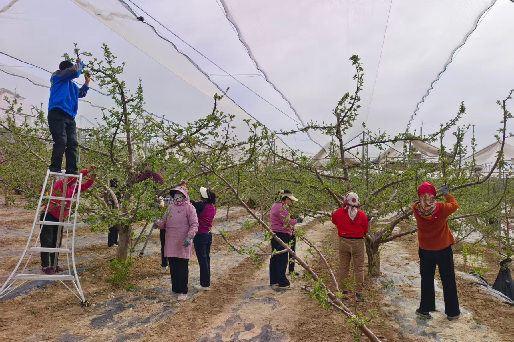 0204d89c237c49449e891c86c2f3bcd8 0204d89c237c49449e891c86c2f3bcd8