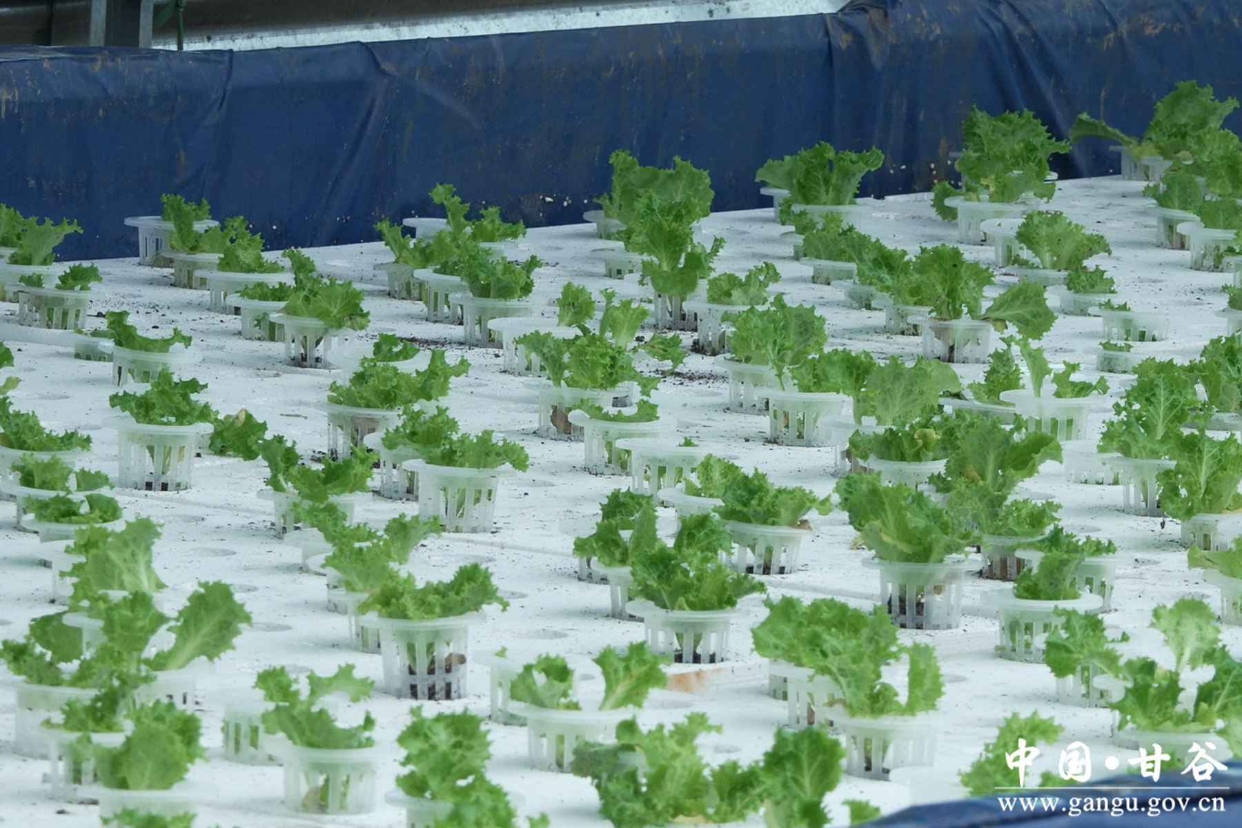 微信图片_20251029170729_33_148 微信图片_20251029170729_33_148