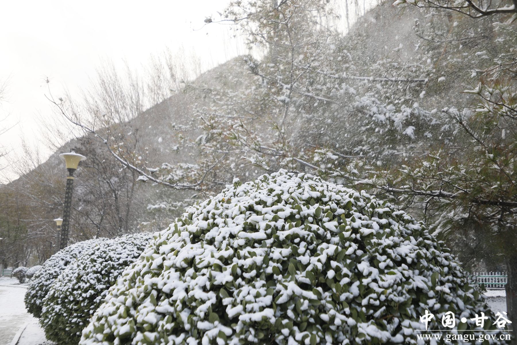 _MG_0630_副本 _MG_0630_副本