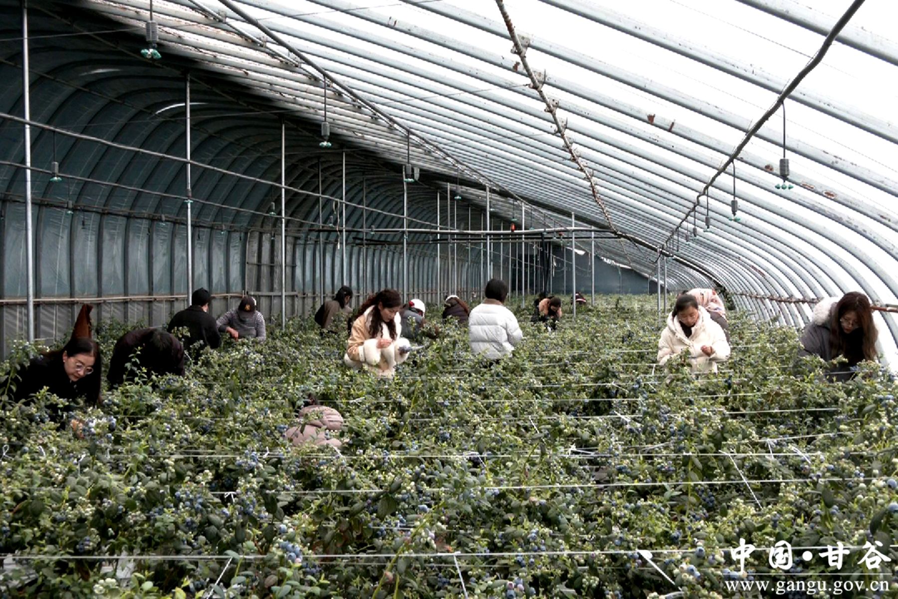 微信图片_20260317150417_232_58 微信图片_20260317150417_232_58