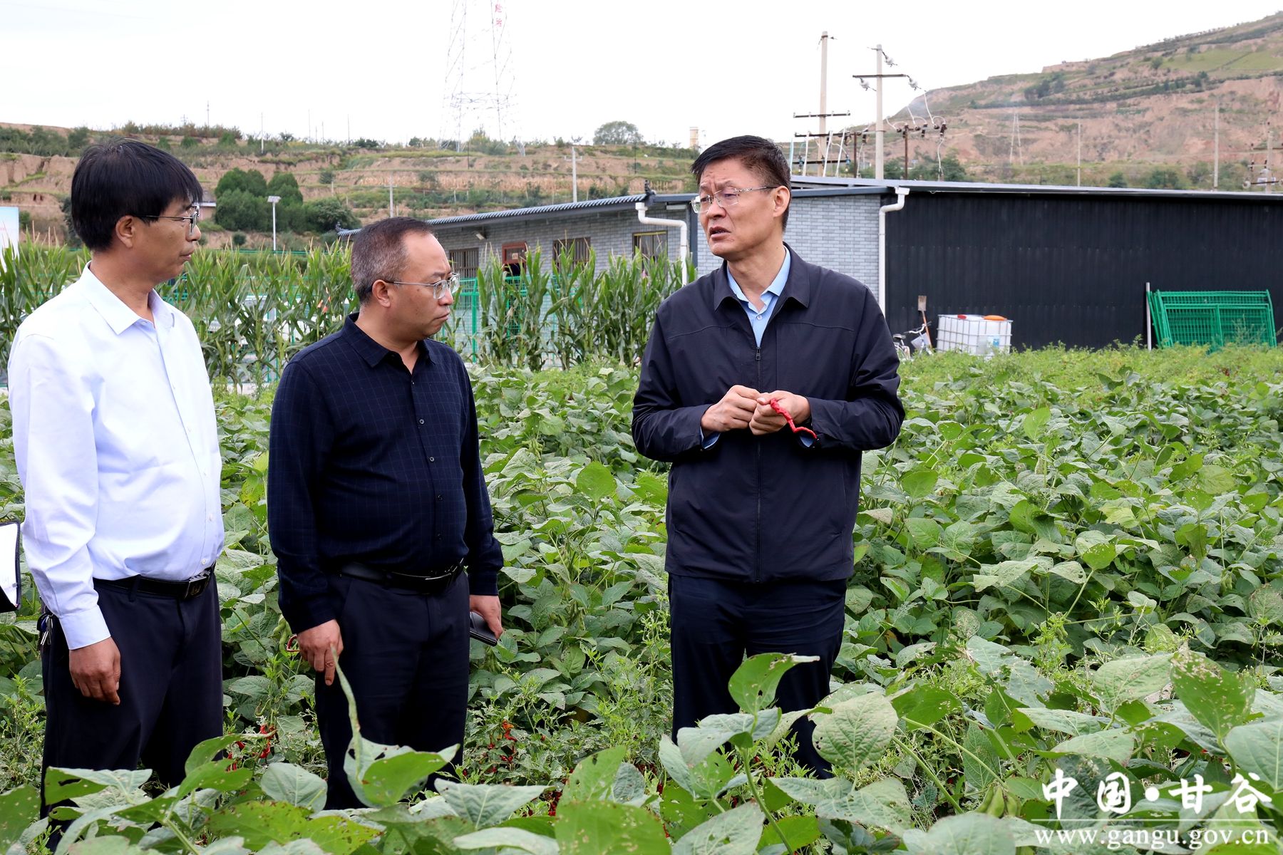 微信图片_20240914093108 微信图片_20240914093108