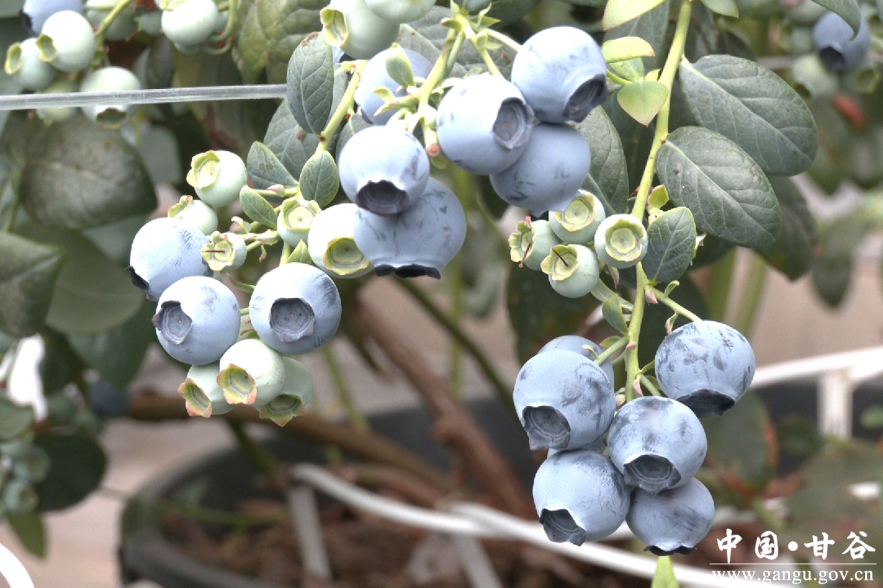 微信图片_20260317150420_234_58 微信图片_20260317150420_234_58