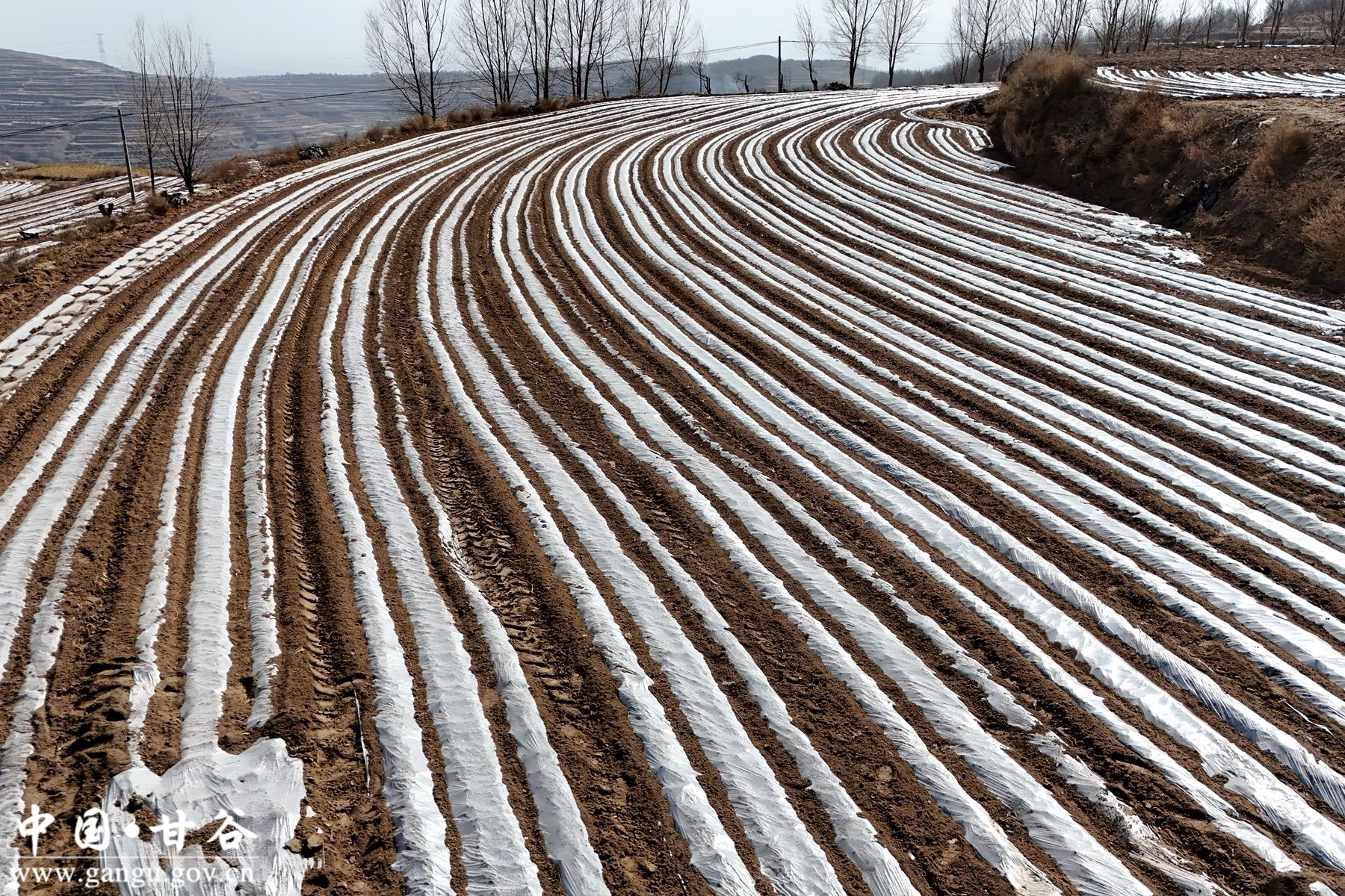 5664ff17651803f5c273d720835da4fc 5664ff17651803f5c273d720835da4fc