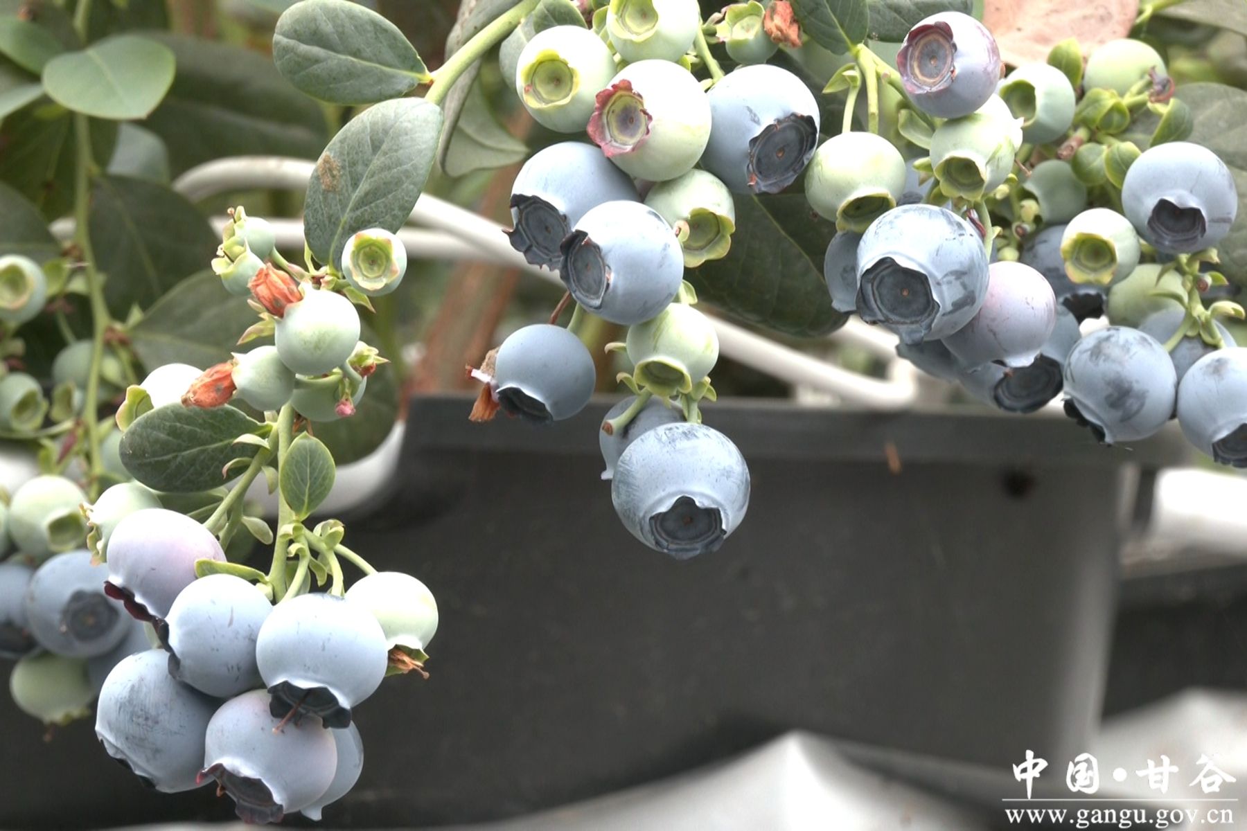 微信图片_20260317150416_230_58 微信图片_20260317150416_230_58