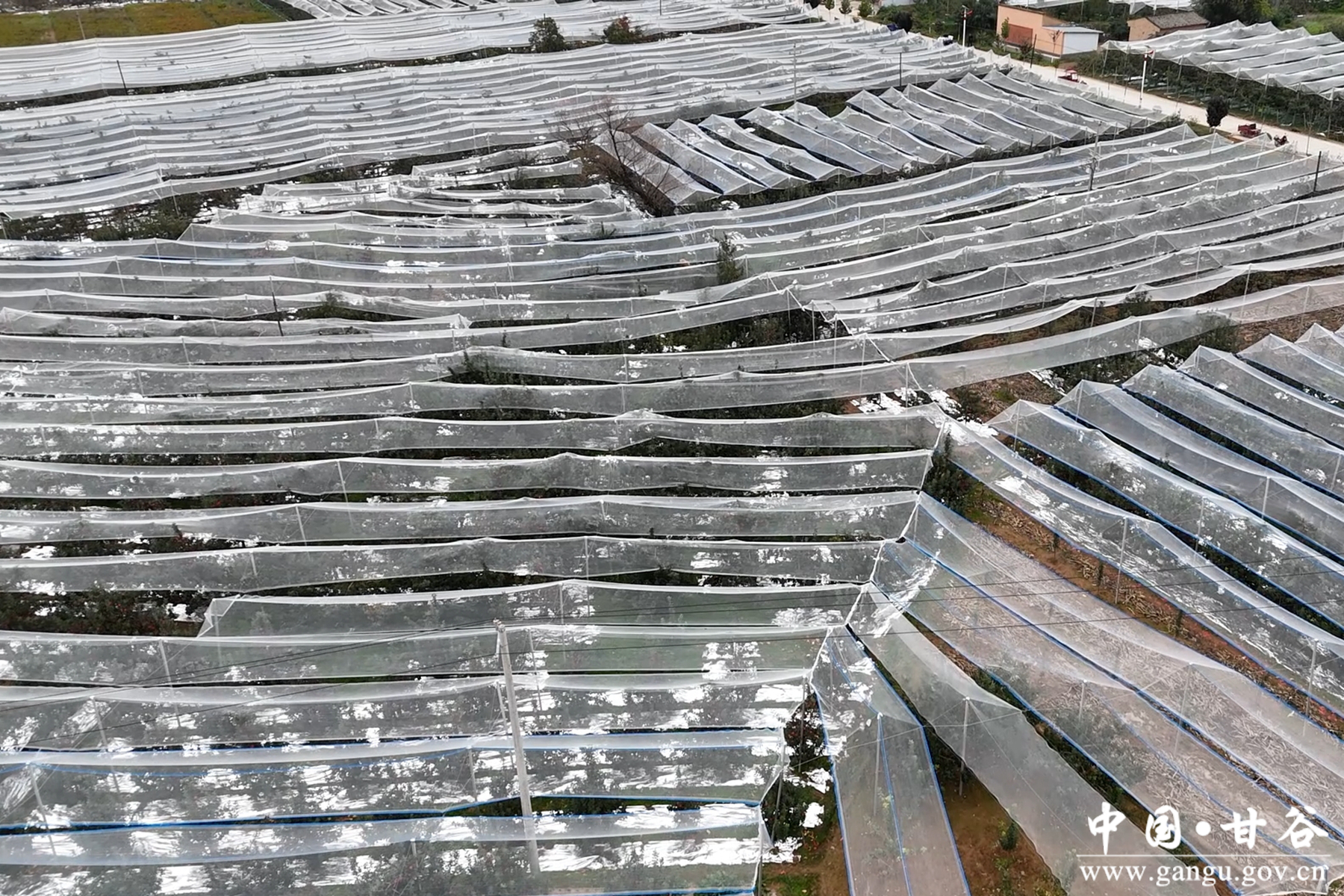 微信图片_20251022114456_4_148 微信图片_20251022114456_4_148