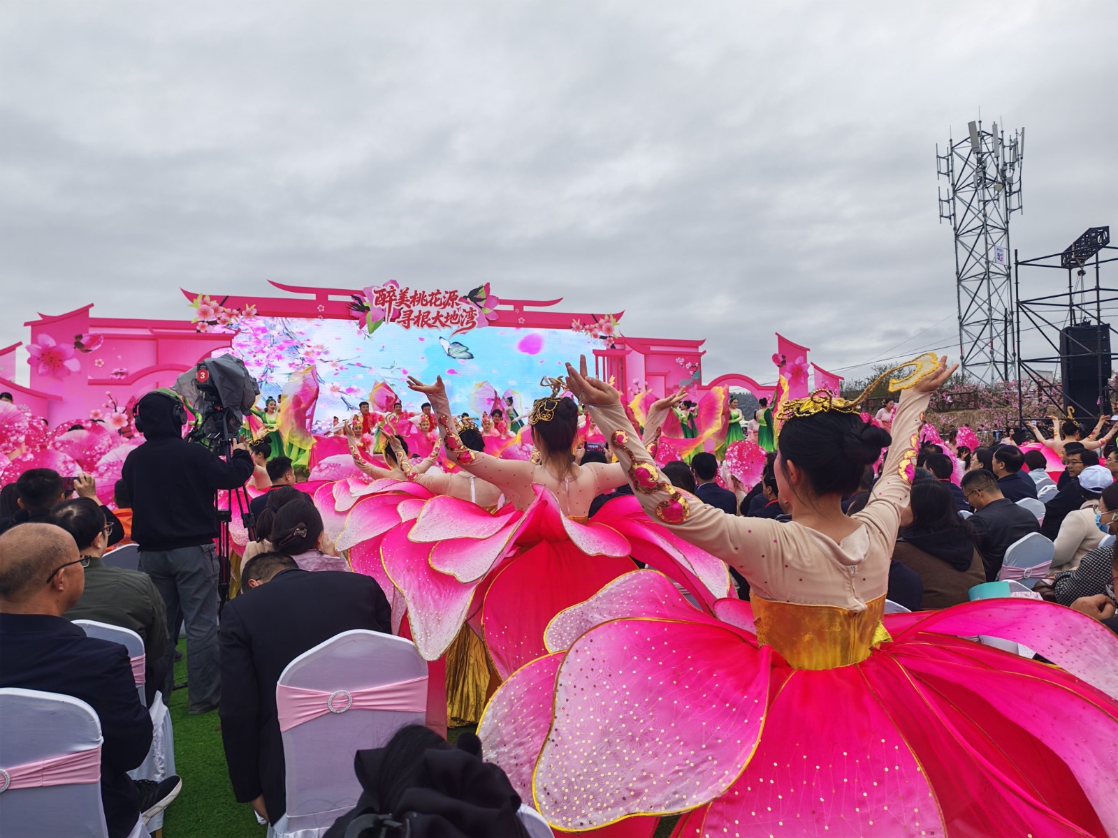 桃花会1 桃花会1