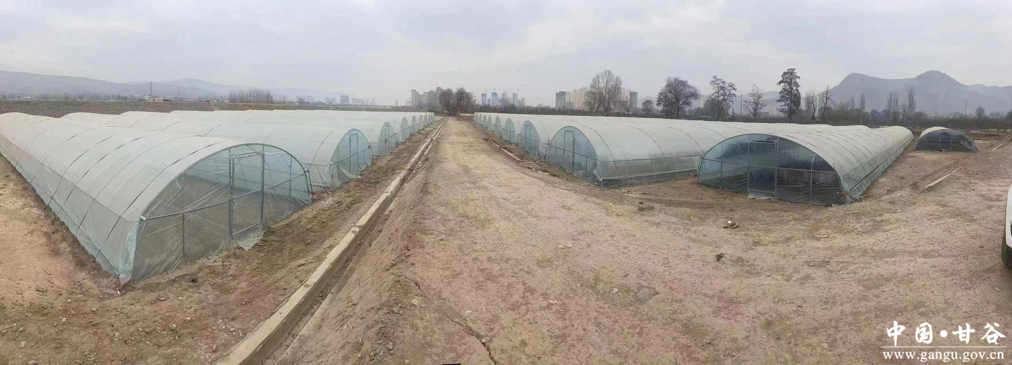 大像山4 大像山4