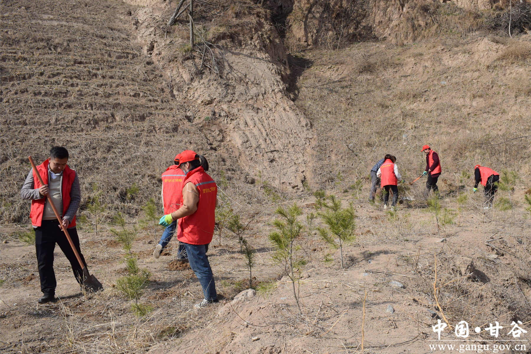 图片5_副本 图片5_副本