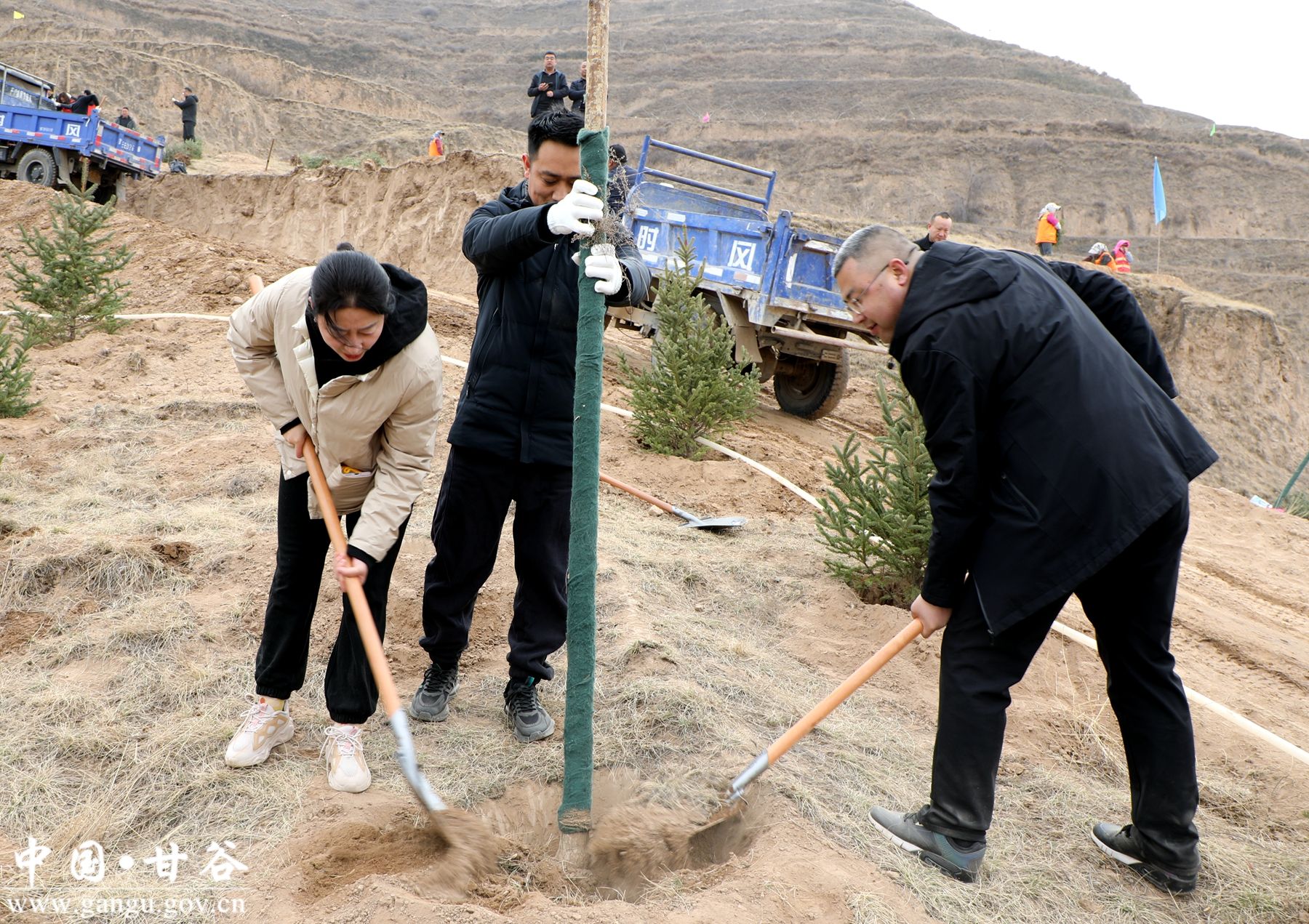 微信图片_20250312143005 微信图片_20250312143005