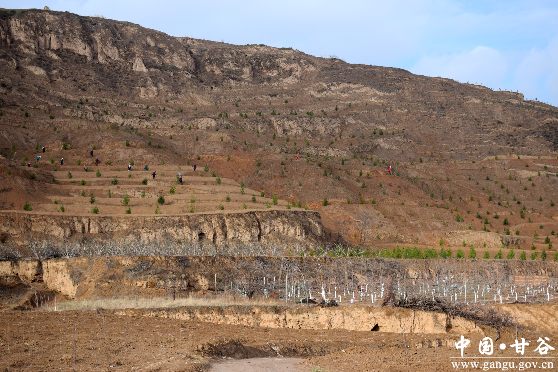 图片7_副本 图片7_副本