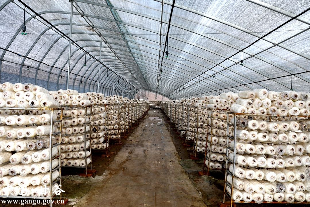 1702346348178033896.jpg 1702346348178033896.jpg