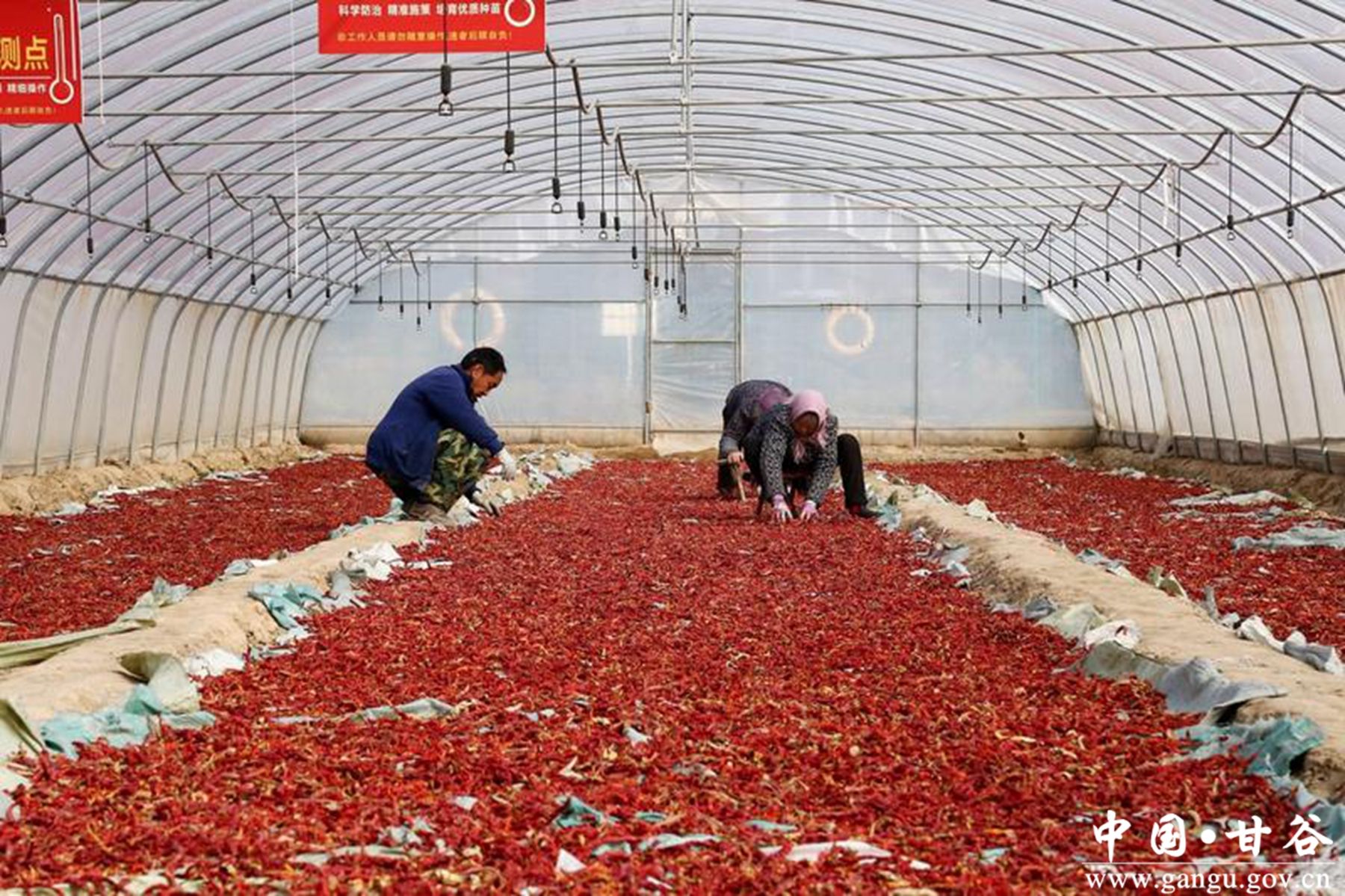 44466c1b-935c-4b3f-9cdf-79d3c4d6600f_l 44466c1b-935c-4b3f-9cdf-79d3c4d6600f_l