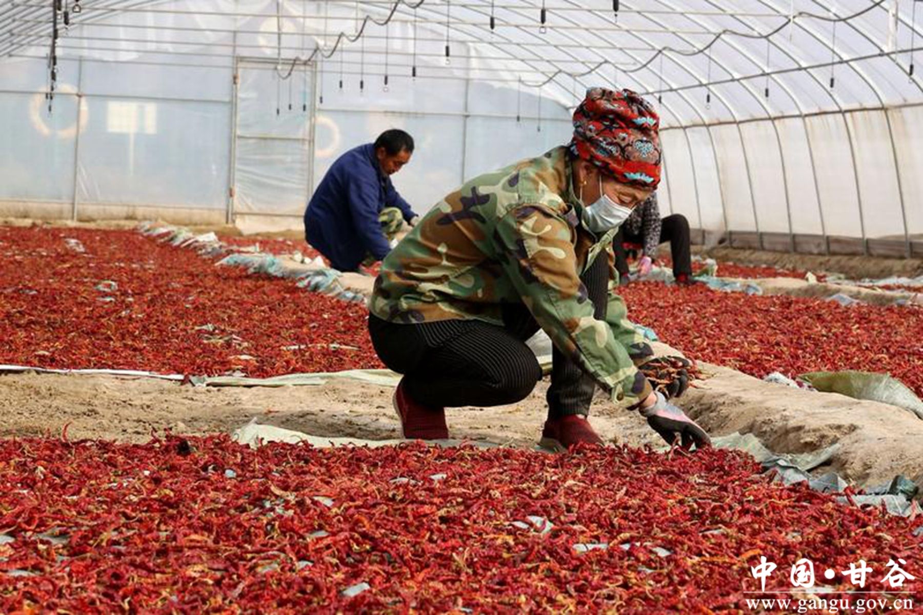 3dd60ed5-8422-41da-82ae-6c29e2014f4b_l 3dd60ed5-8422-41da-82ae-6c29e2014f4b_l