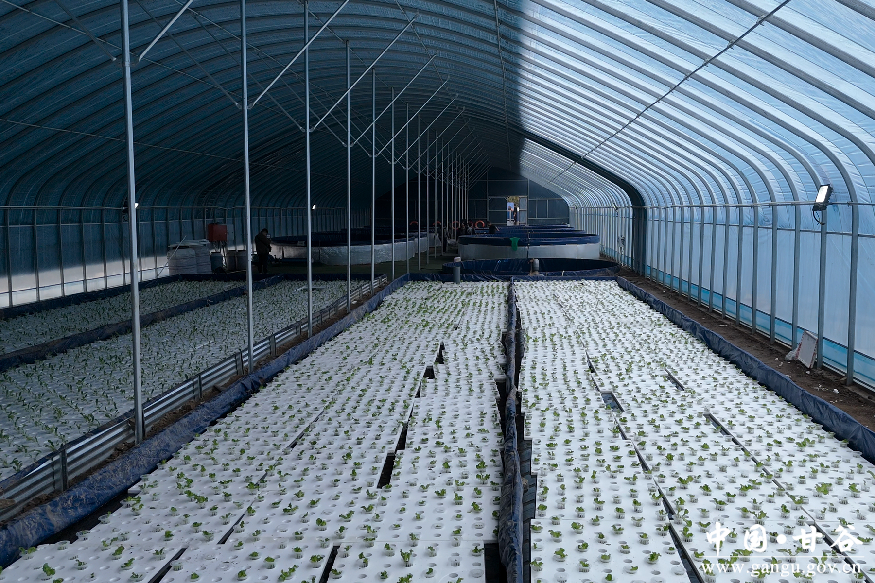 微信图片_20251029170737_36_148 微信图片_20251029170737_36_148