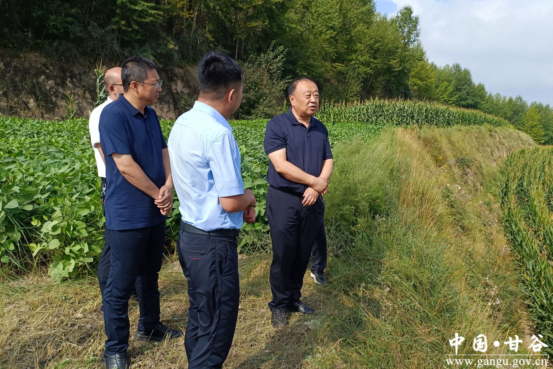 微信图片_20240823154014 微信图片_20240823154014