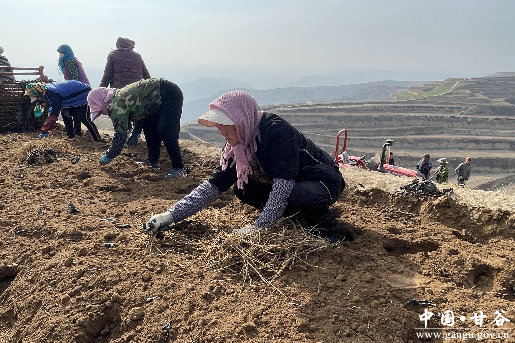 微信图片_20231122152056 微信图片_20231122152056