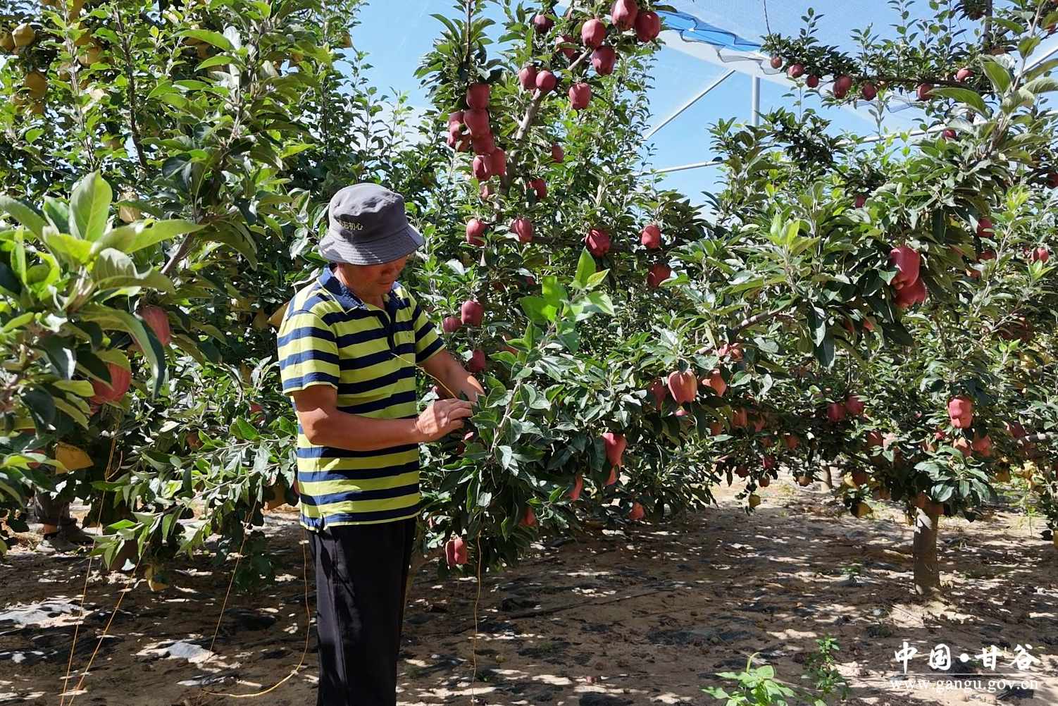 1755074484028096399.jpg 1755074484028096399.jpg