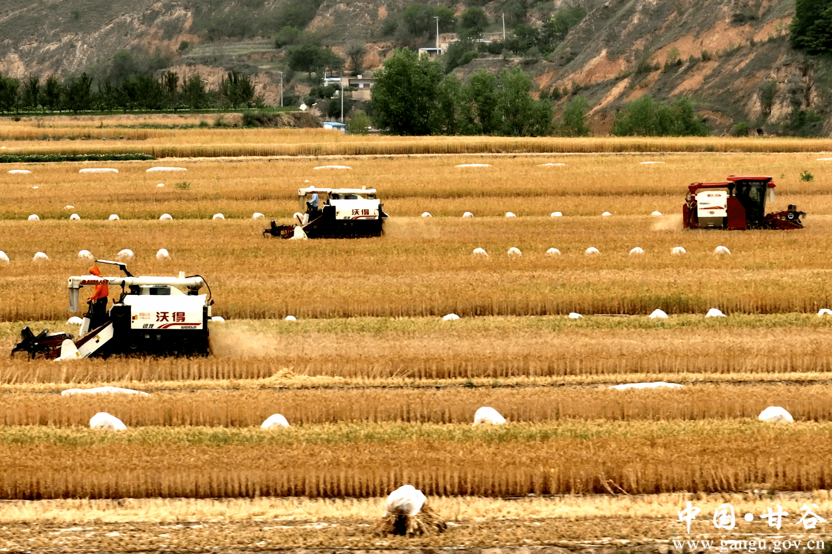 1702264538893081937.jpg 1702264538893081937.jpg