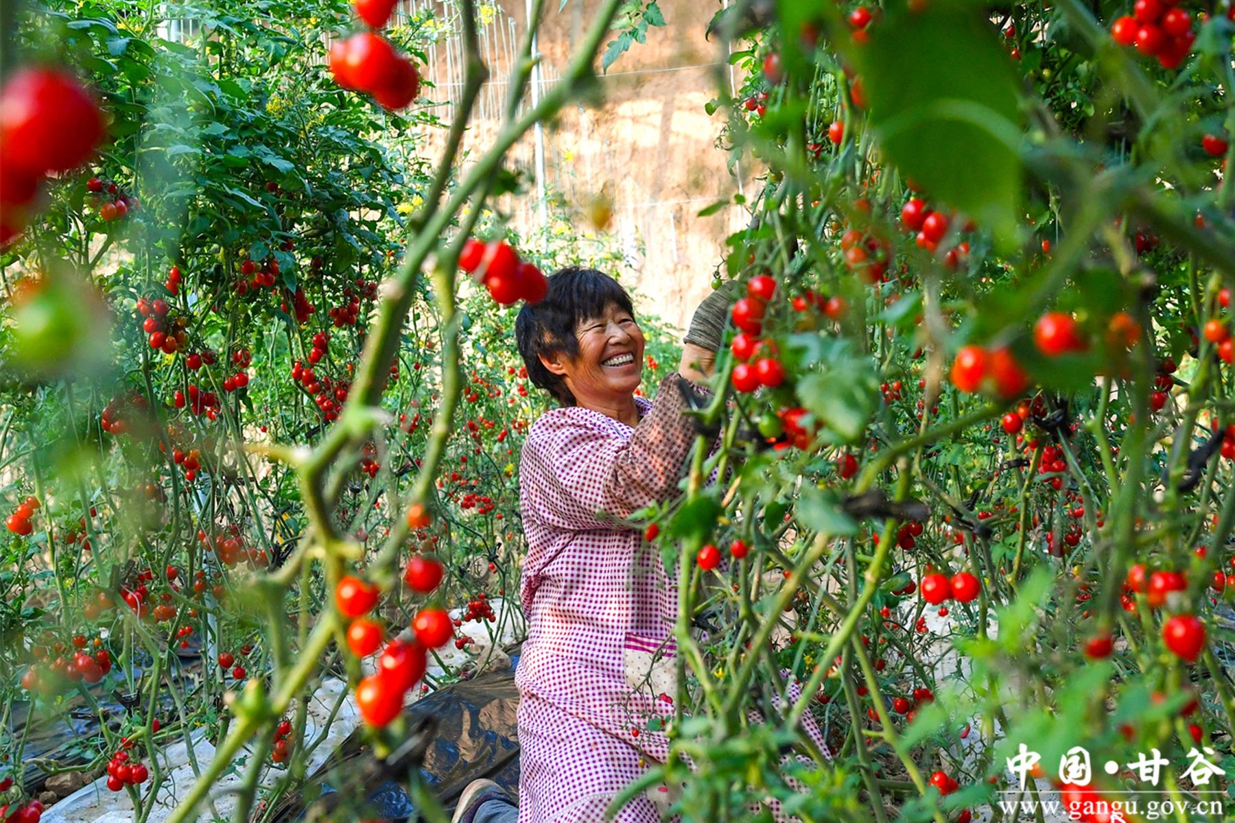 A3F13D7BA51980605B3BD839755_E053093B_2E6C87 A3F13D7BA51980605B3BD839755_E053093B_2E6C87