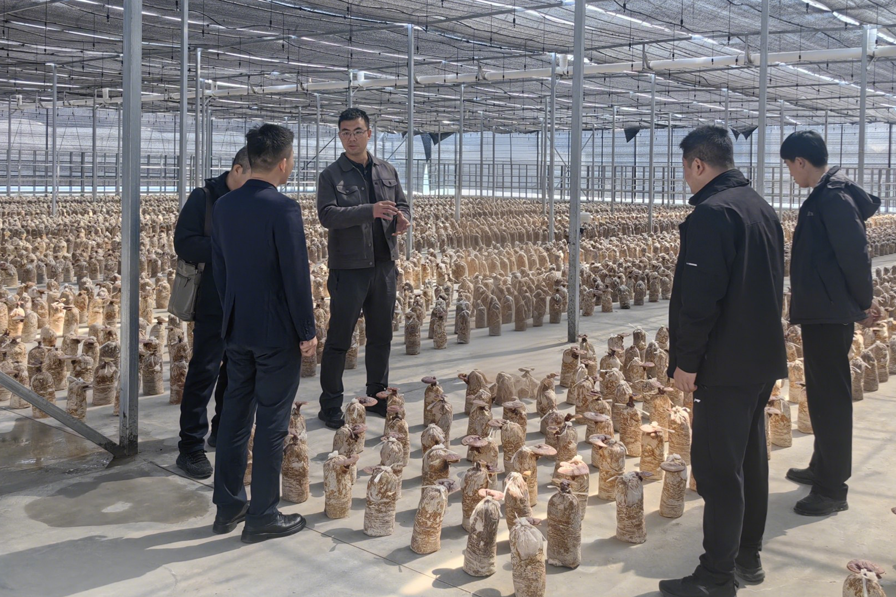 区域擦除操作 区域擦除操作