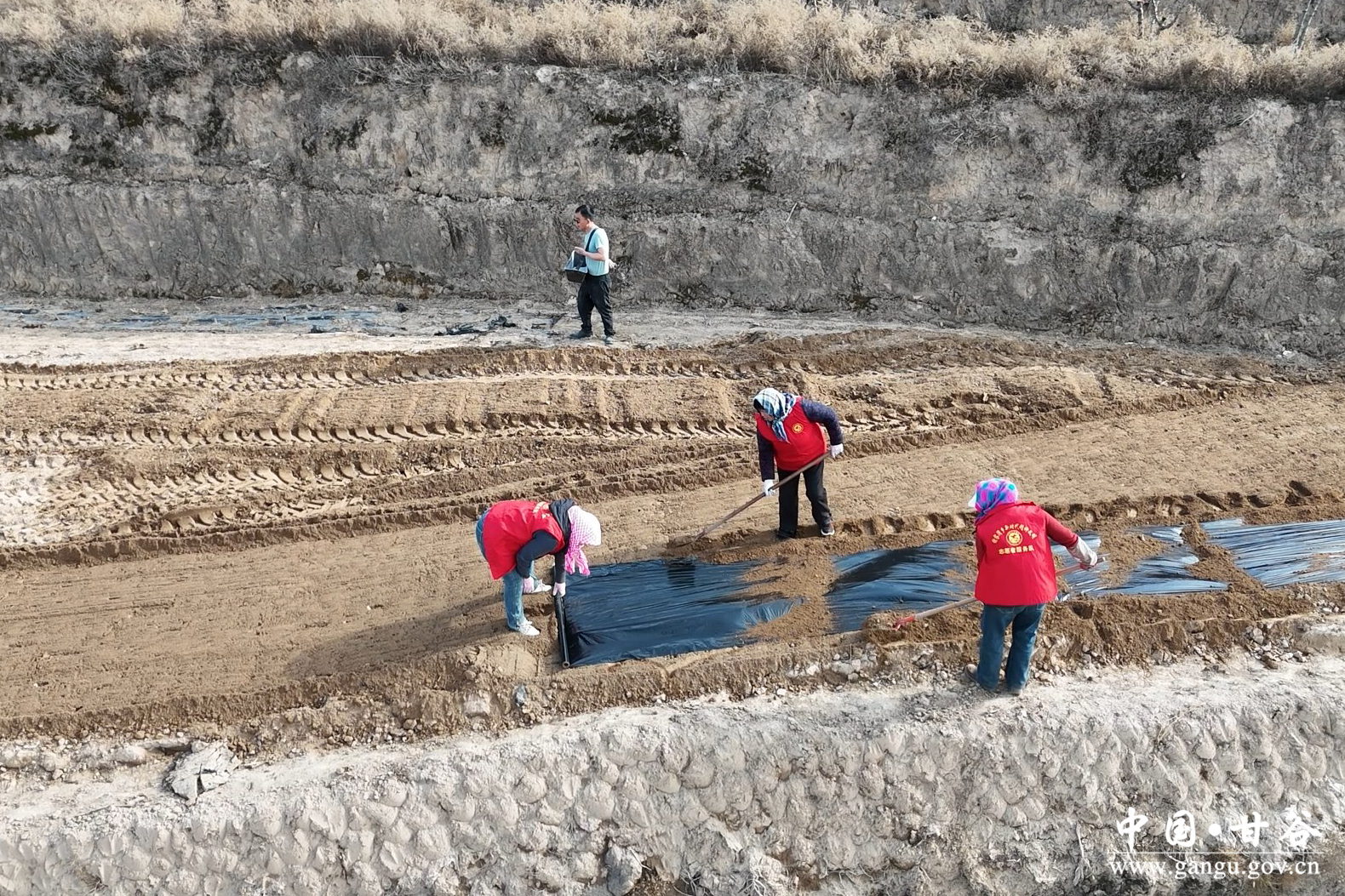 1772247666847081652.jpg 1772247666847081652.jpg