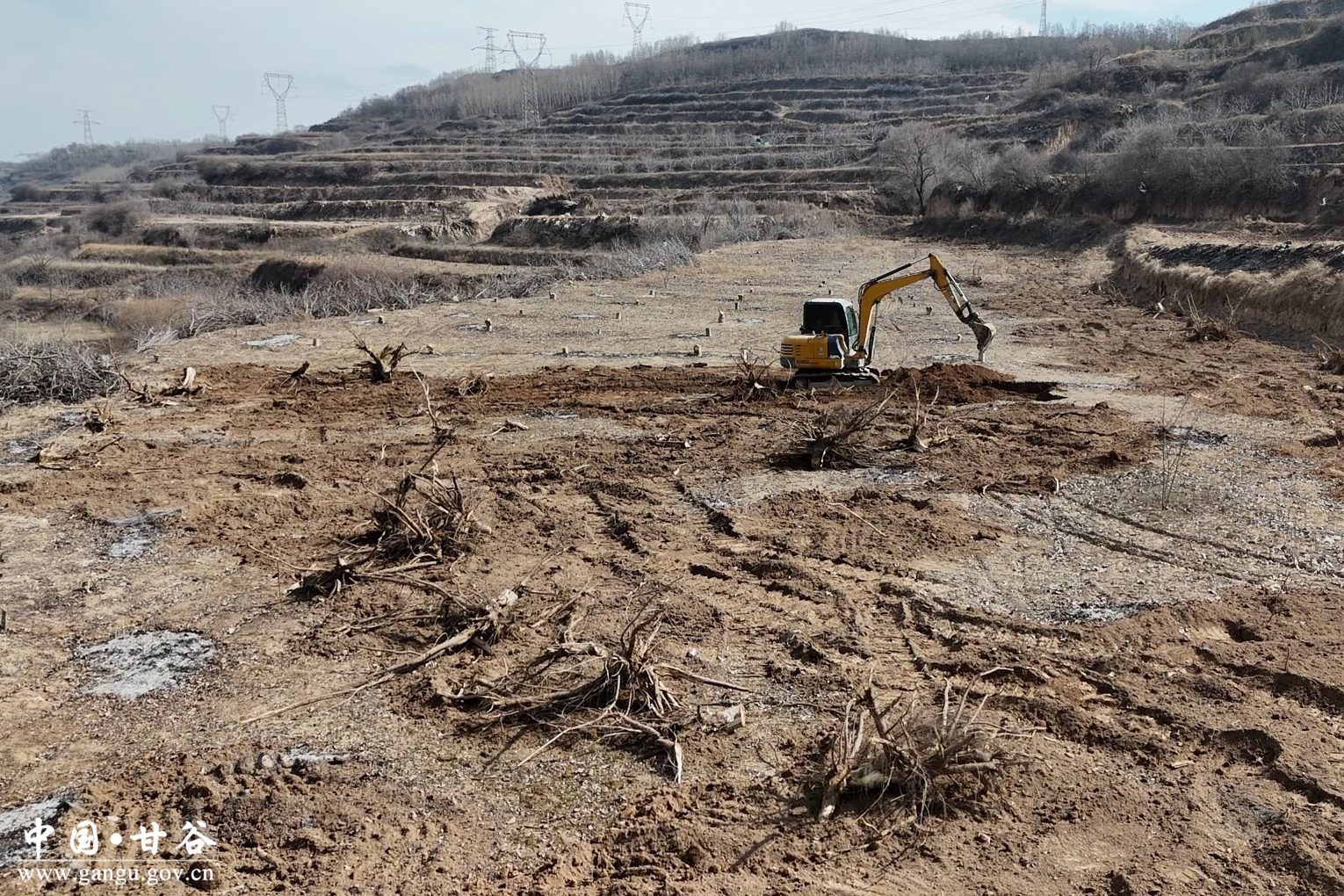 1772247604276059484.jpg 1772247604276059484.jpg