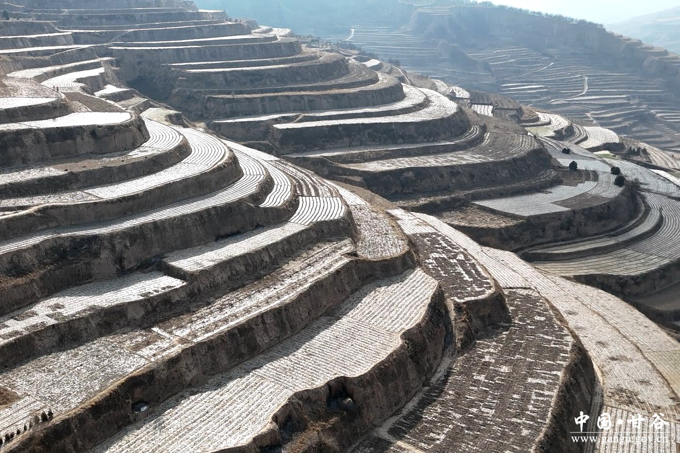 1772247639291038641.jpg 1772247639291038641.jpg