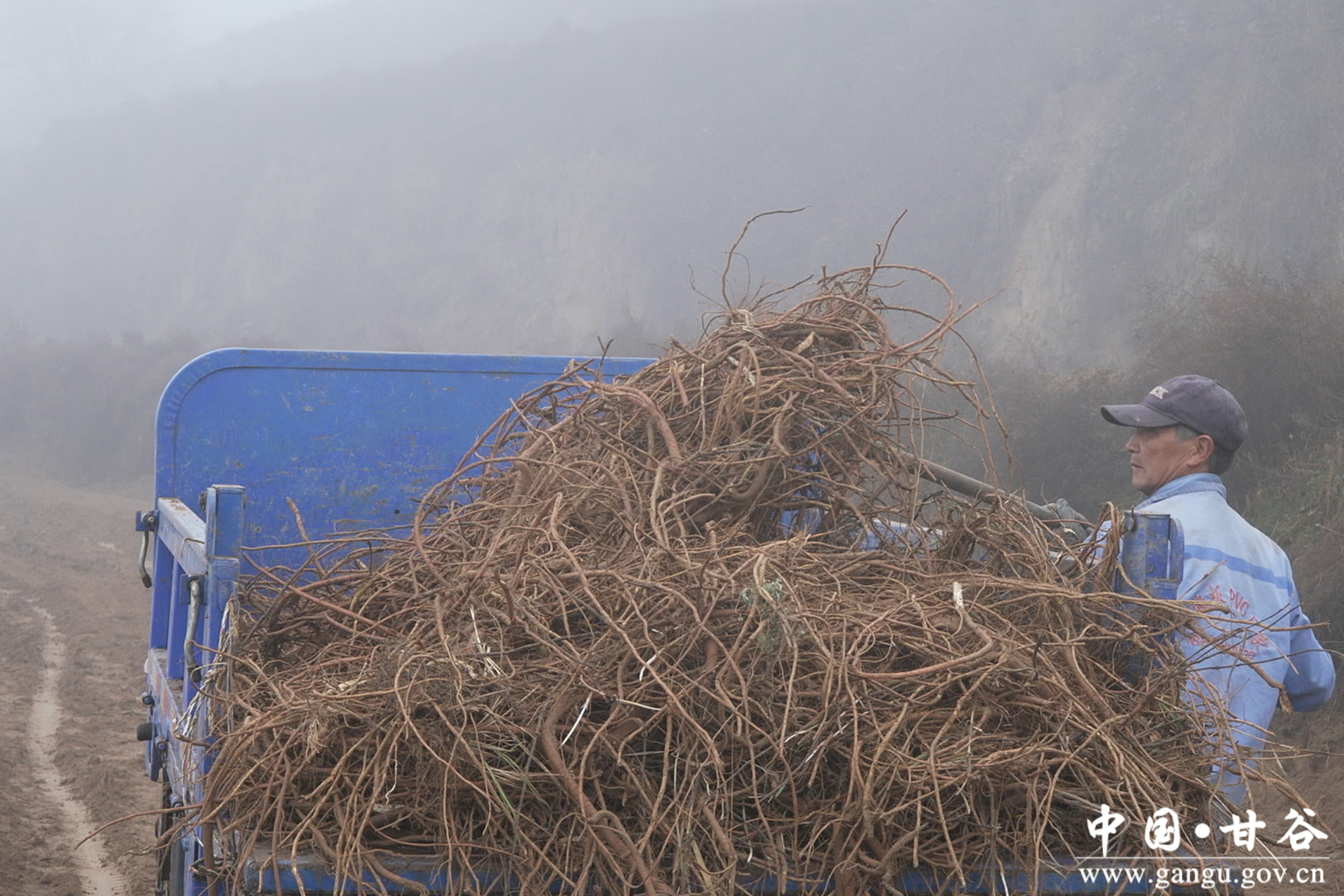 微信图片_20251106170717_2_148 微信图片_20251106170717_2_148