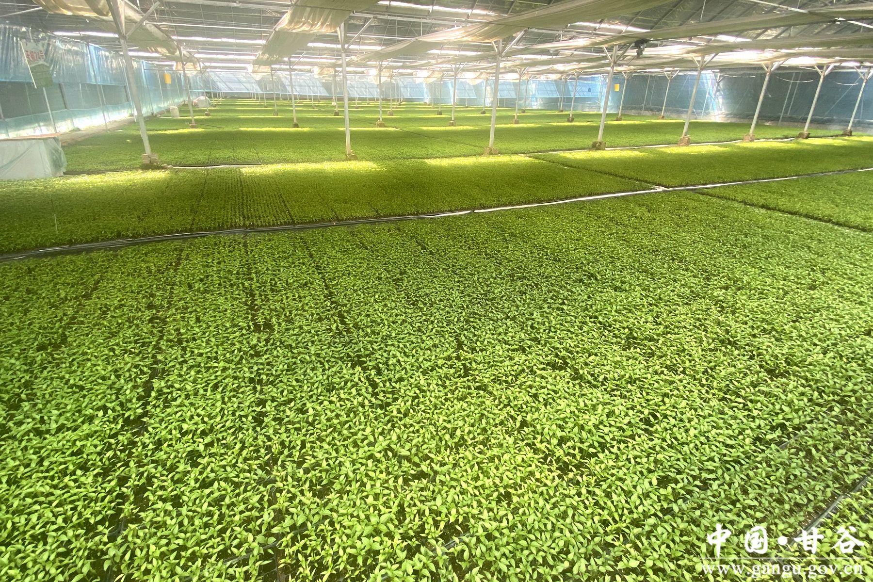 86c455a23d5894cc675f5500c32defbc 86c455a23d5894cc675f5500c32defbc