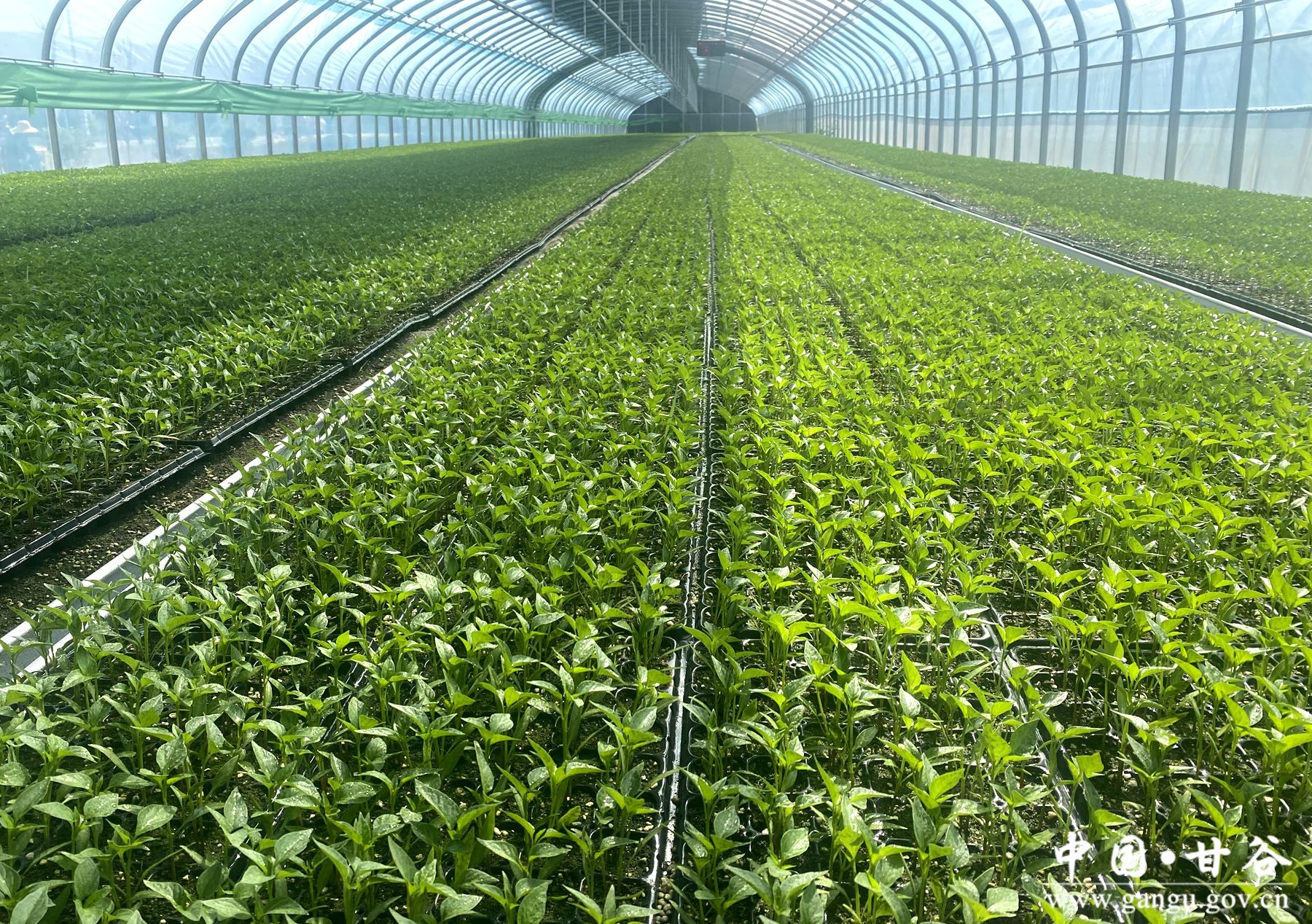 36900dbccda1f0dd7571d98d712364ce 36900dbccda1f0dd7571d98d712364ce