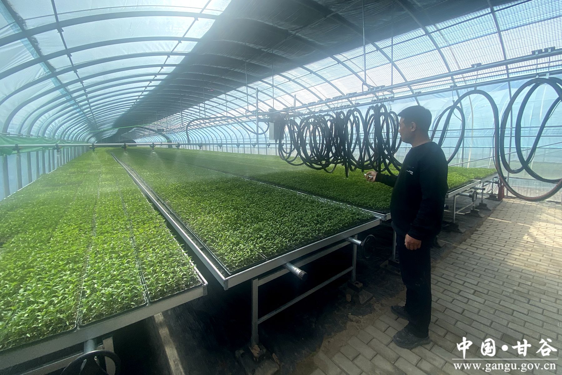 ded1f487d5ee55d1d5b32e16147e827a ded1f487d5ee55d1d5b32e16147e827a