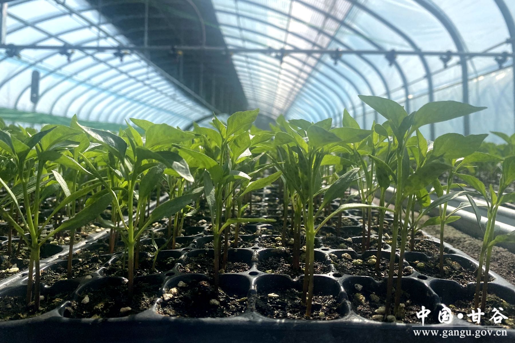 88d10666f850c20dc6f880b2866cb1e9 88d10666f850c20dc6f880b2866cb1e9