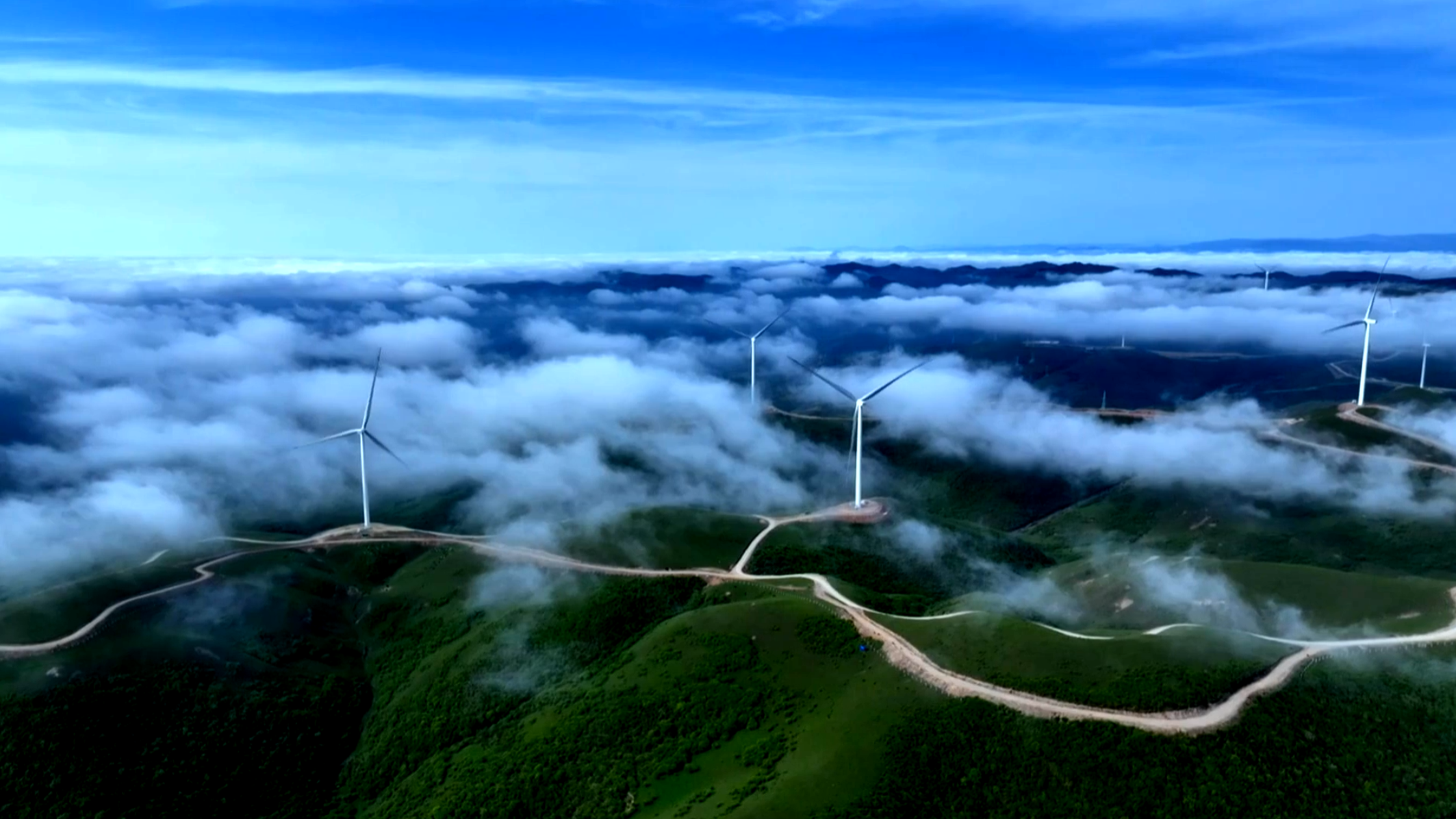 360截图20230624103537855 360截图20230624103537855