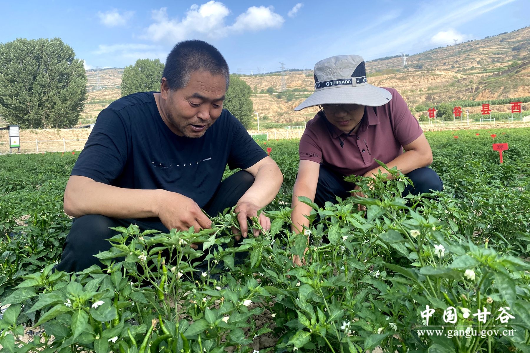 589bc182f2938fdecfeff697f7c4807 589bc182f2938fdecfeff697f7c4807