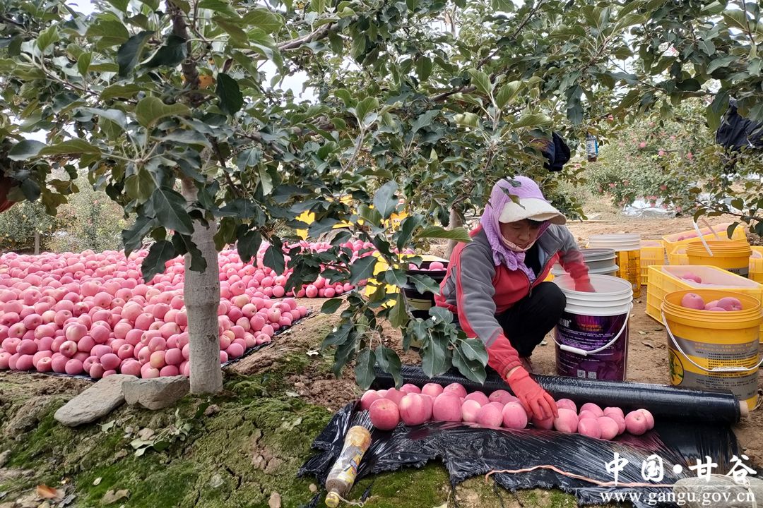 1702431564469064274.jpg 2345_image_file_copy_4.jpg