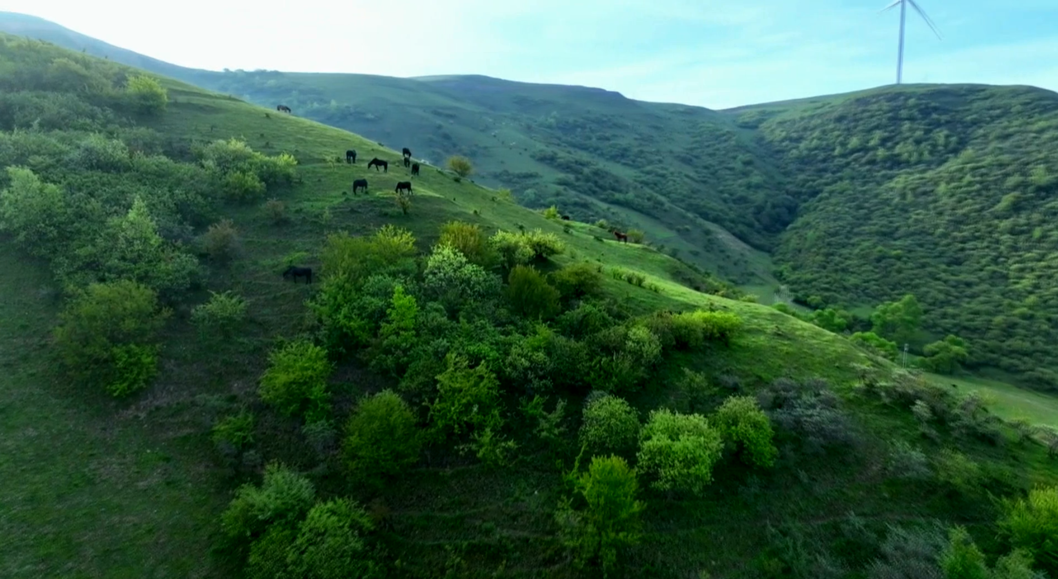 360截图20230624103428192 360截图20230624103428192