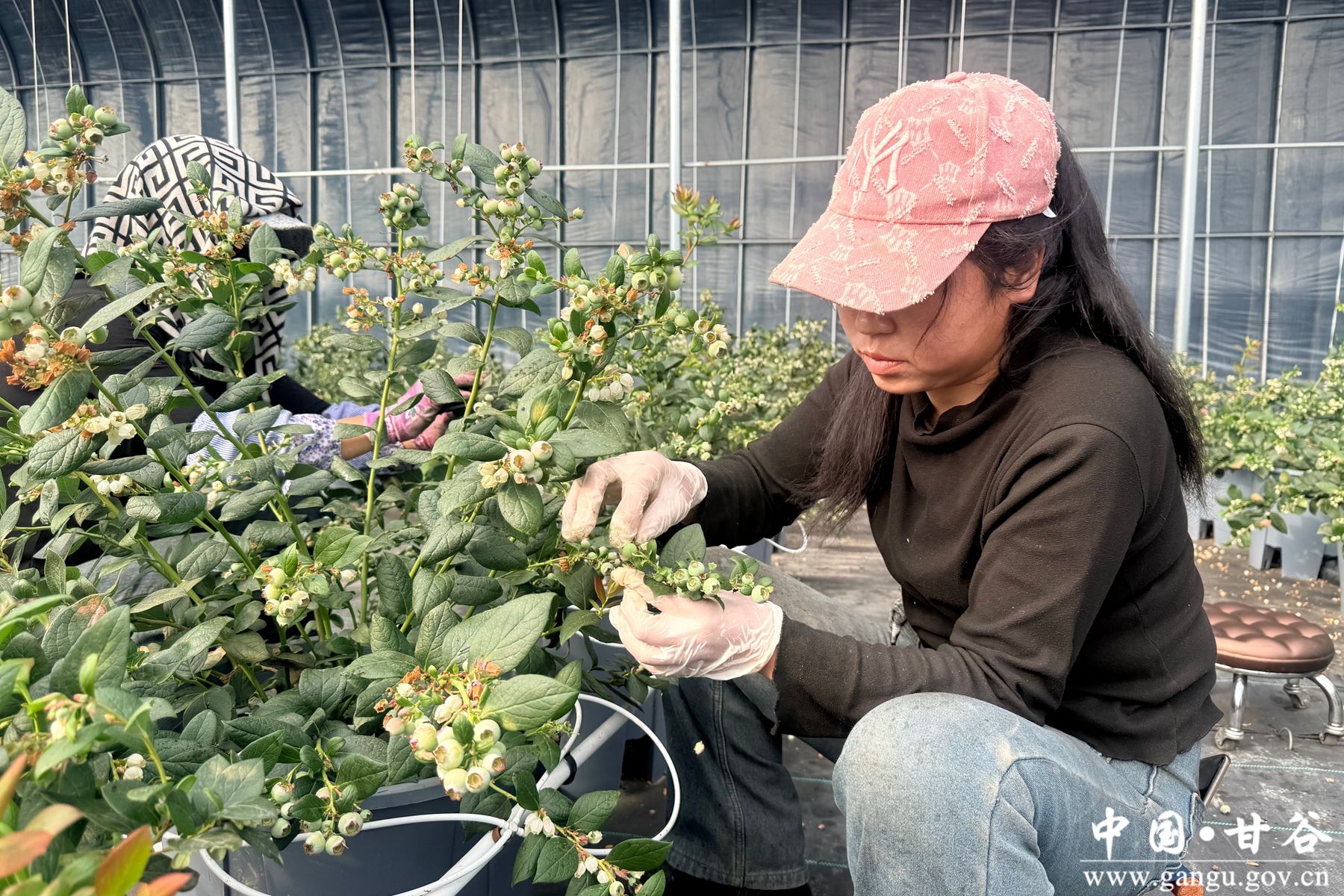 微信图片_20260205170640_164_58 微信图片_20260205170640_164_58