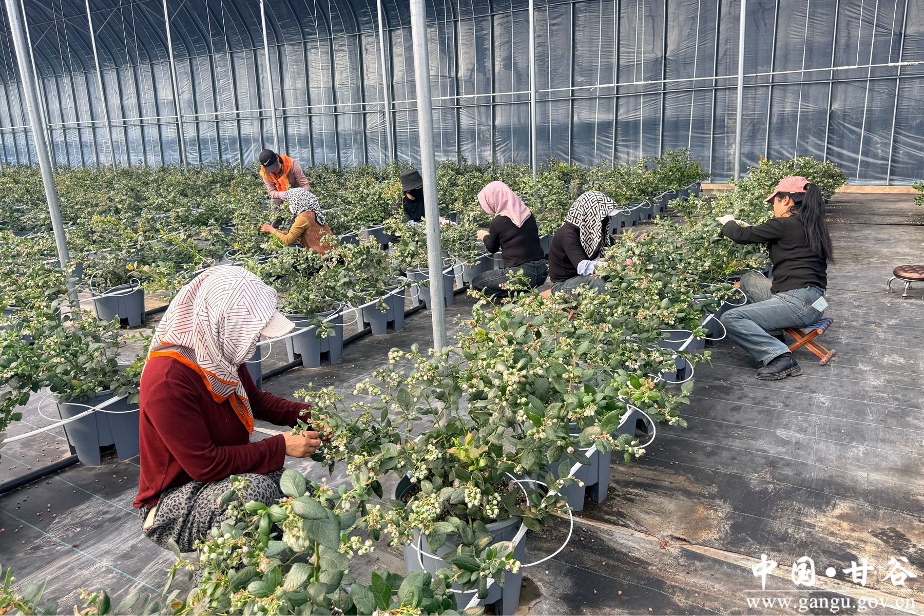 微信图片_20260205170636_163_58 微信图片_20260205170636_163_58