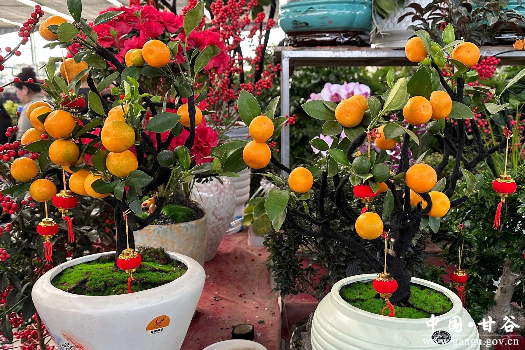 微信图片_20260214160422_7_8_副本 微信图片_20260214160422_7_8_副本