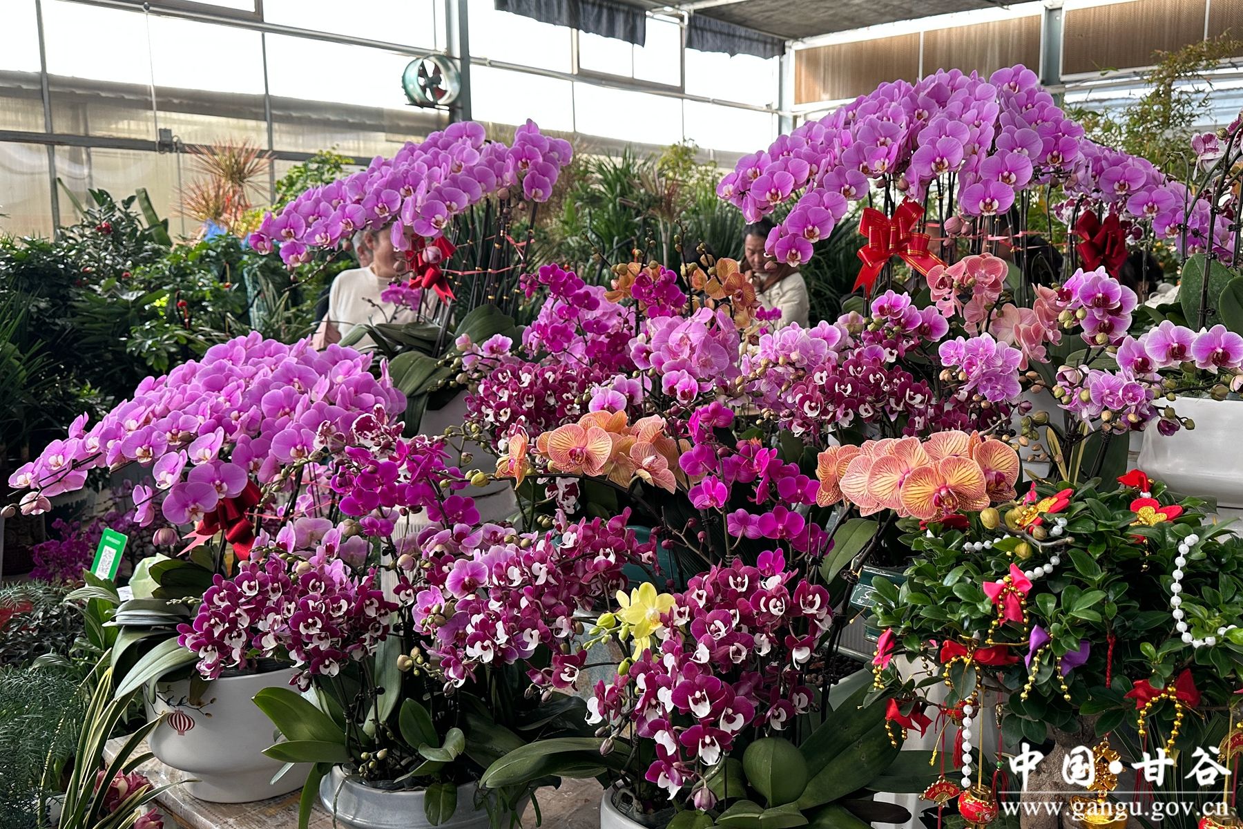 微信图片_20260214160415_5_8_副本 微信图片_20260214160415_5_8_副本