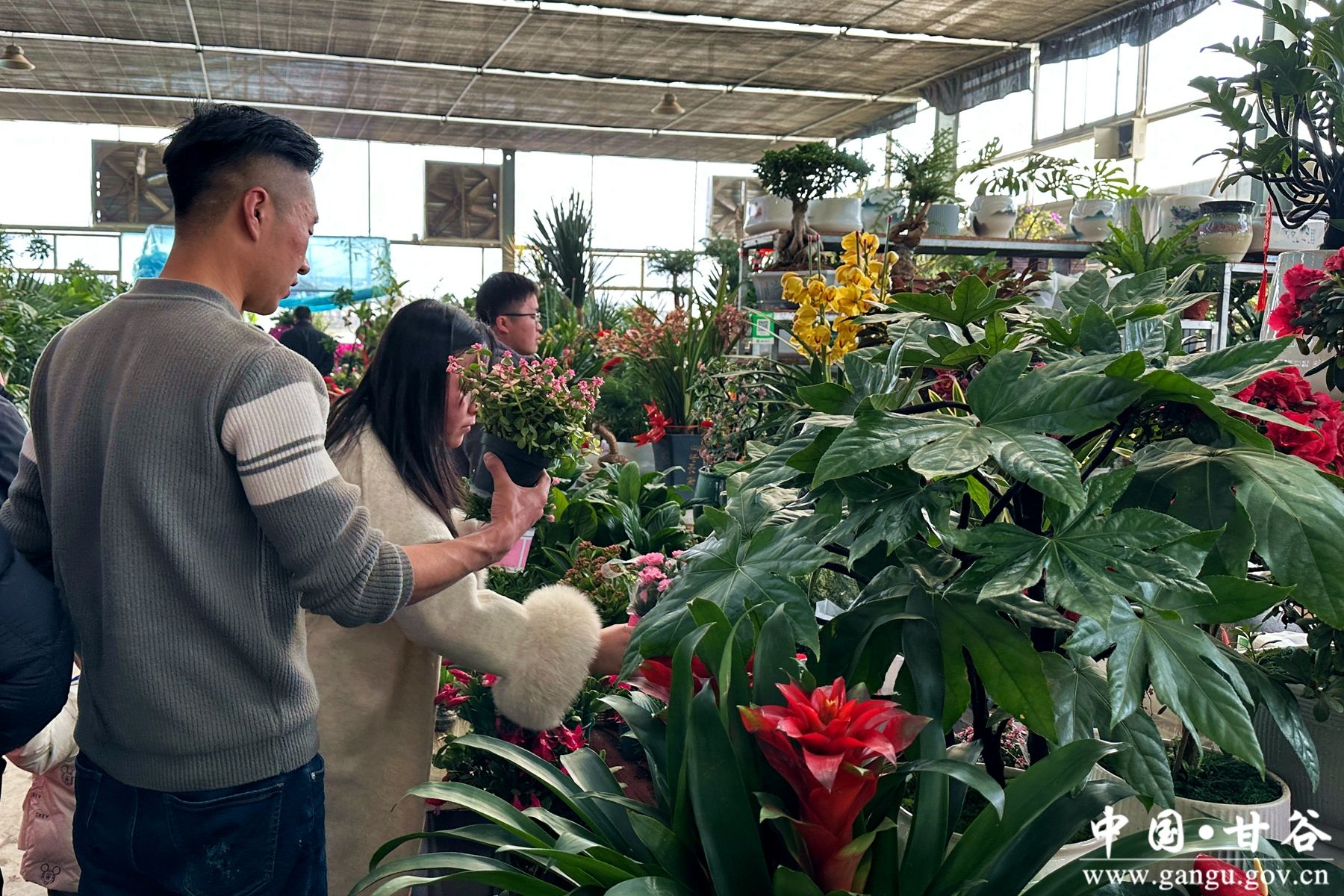 微信图片_20260214160412_4_8_副本 微信图片_20260214160412_4_8_副本