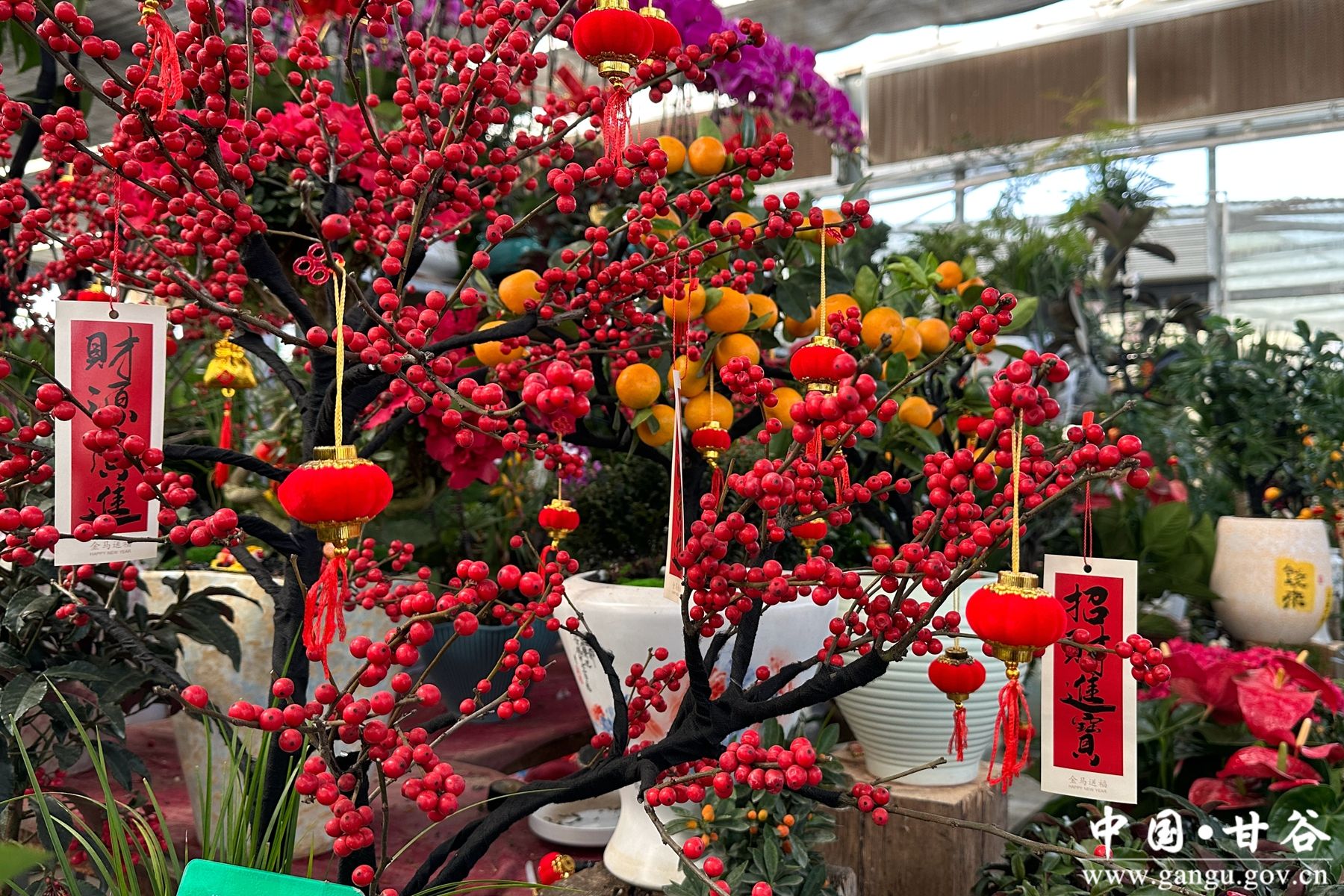 微信图片_20260214160418_6_8_副本 微信图片_20260214160418_6_8_副本